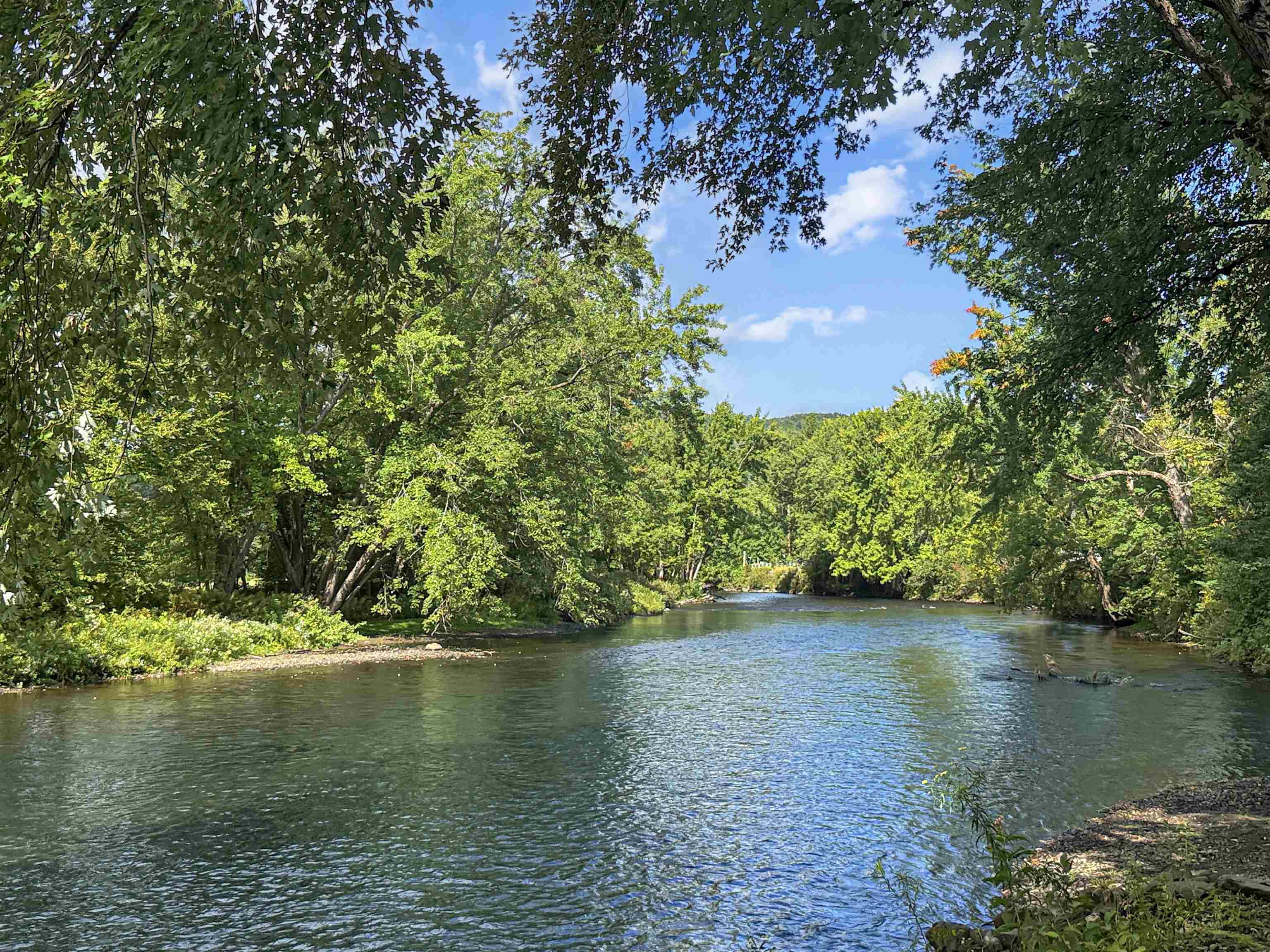 456 River Road photo 20