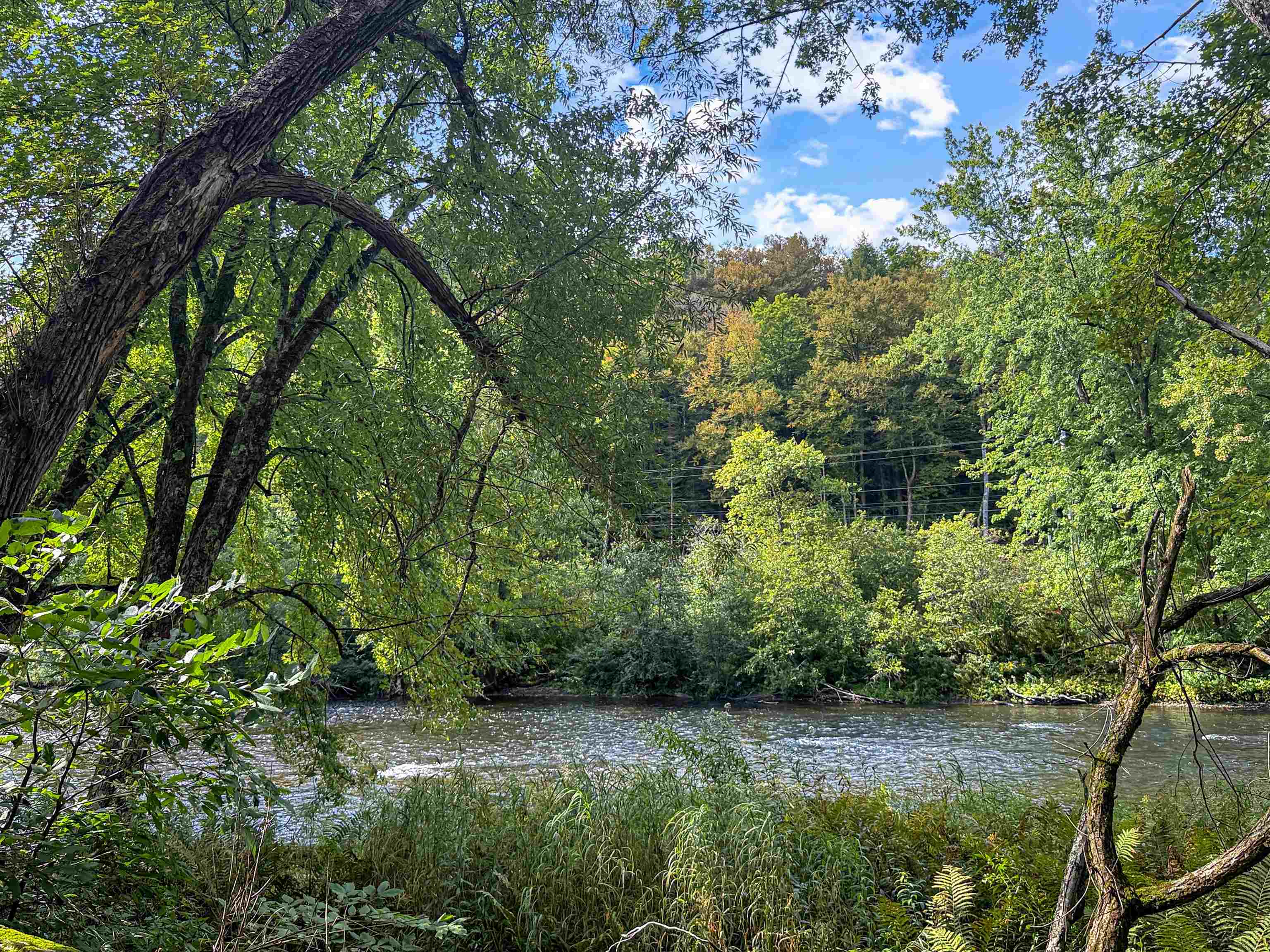 456 River Road photo 22