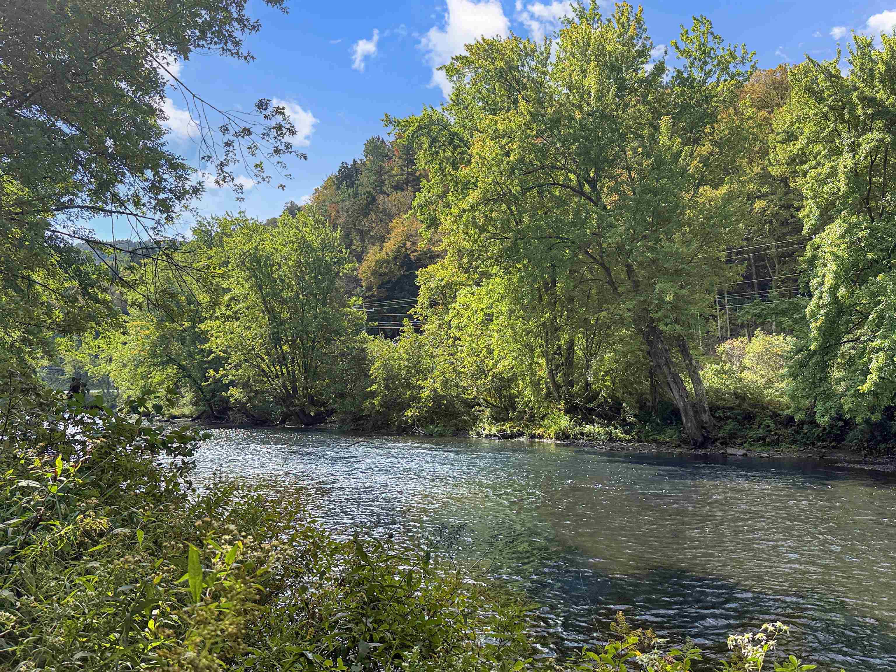 456 River Road photo 4