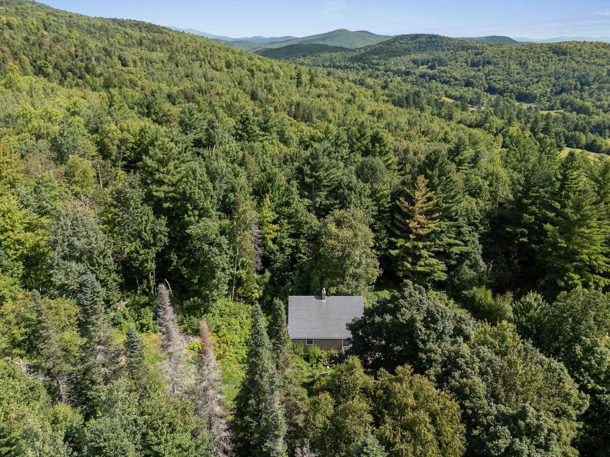 328 Bear Farm Road photo 41