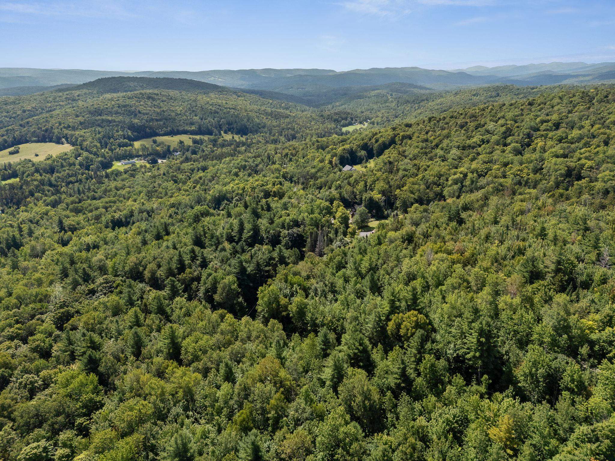 328 Bear Farm Road photo 48