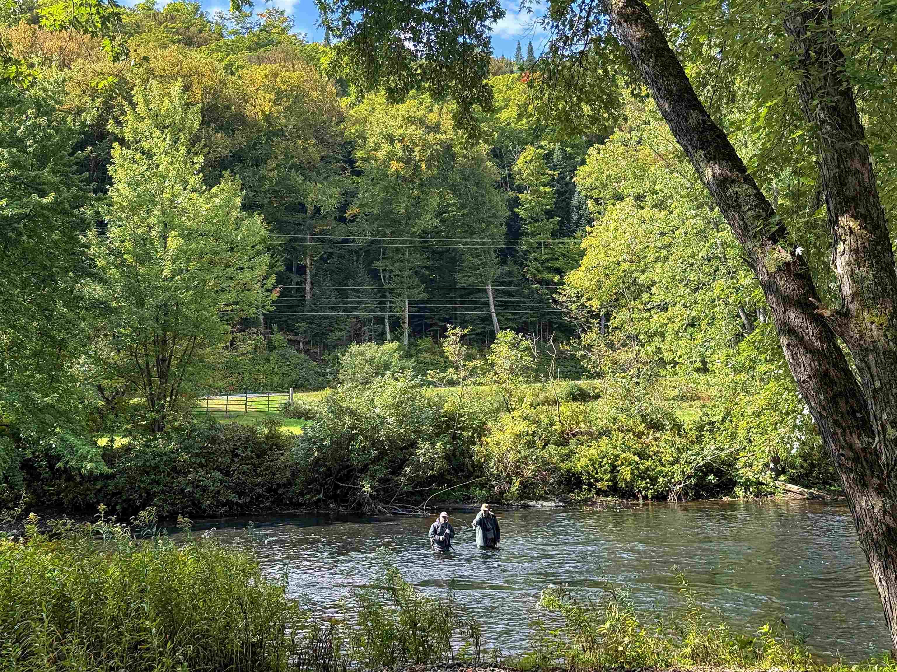 456 River Road photo 5