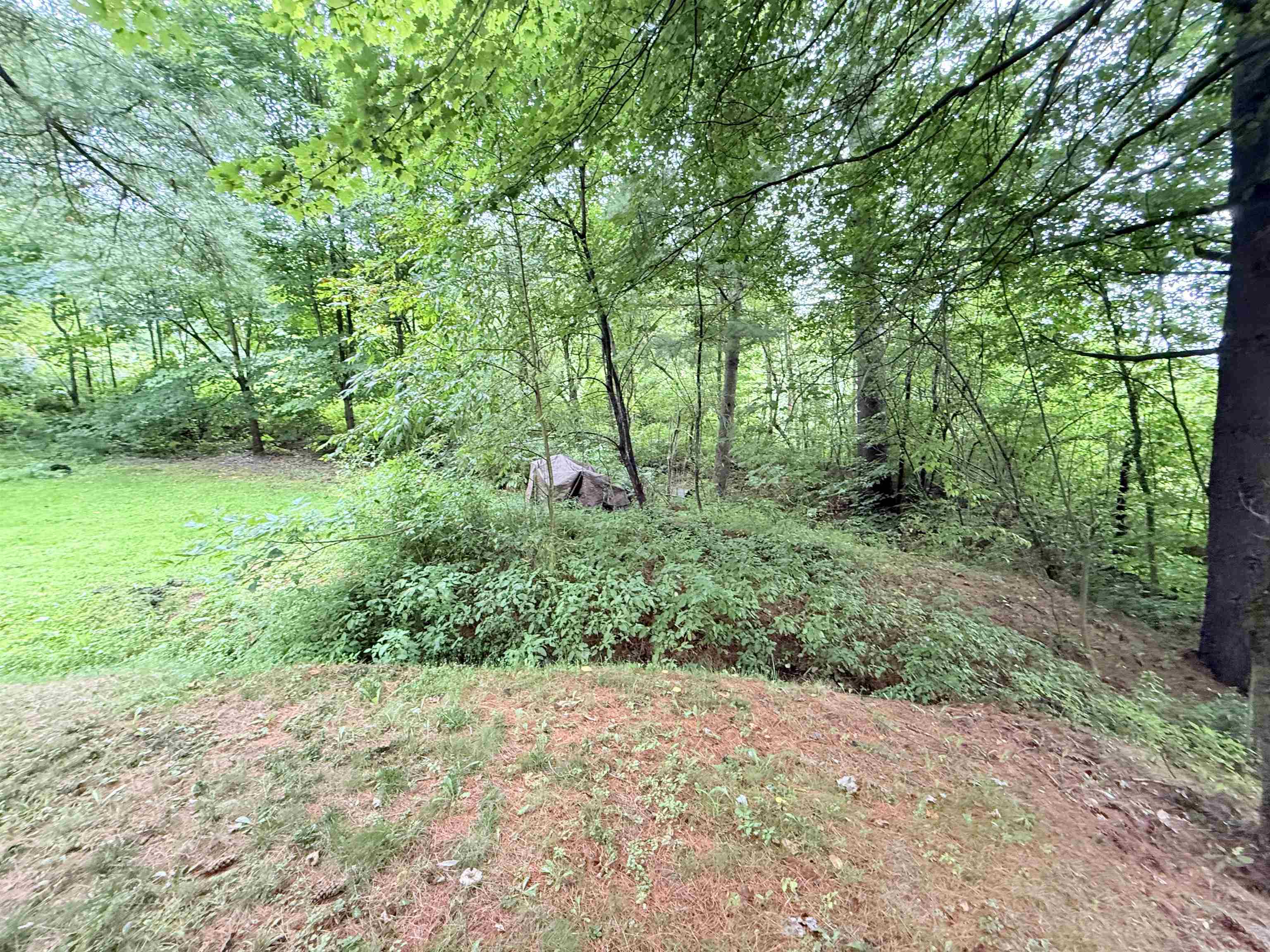 26 Log Cabin Lane photo 31