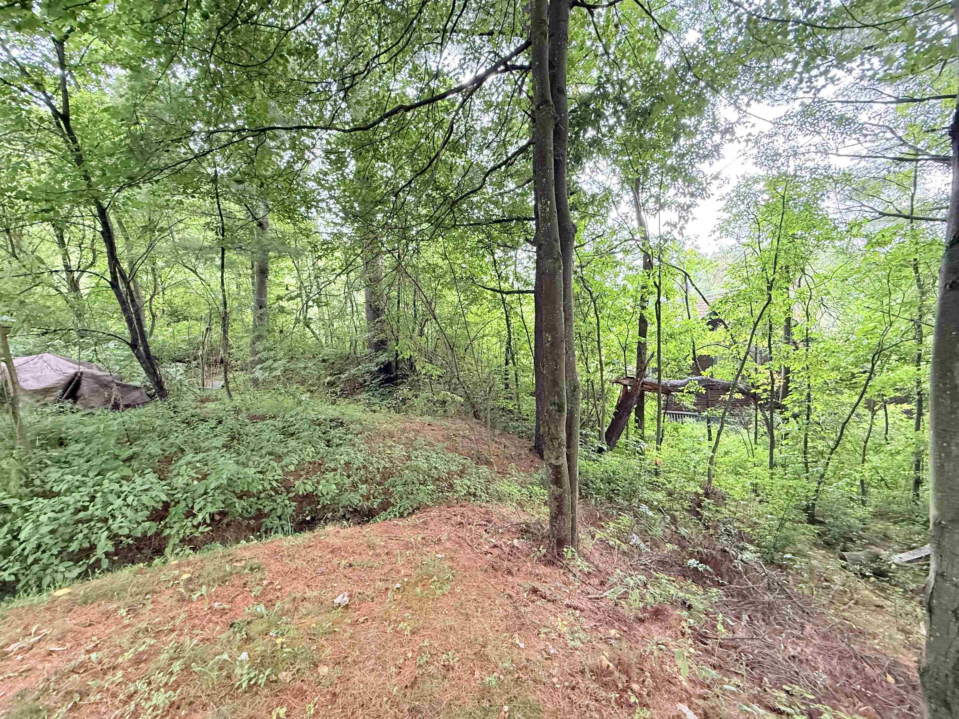 26 Log Cabin Lane photo 32