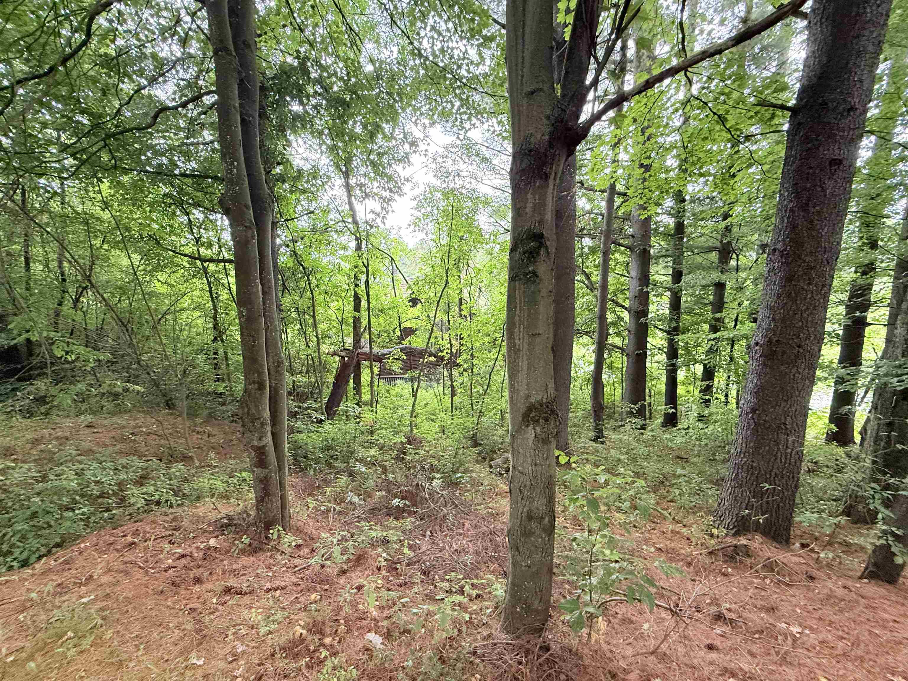 26 Log Cabin Lane photo 33