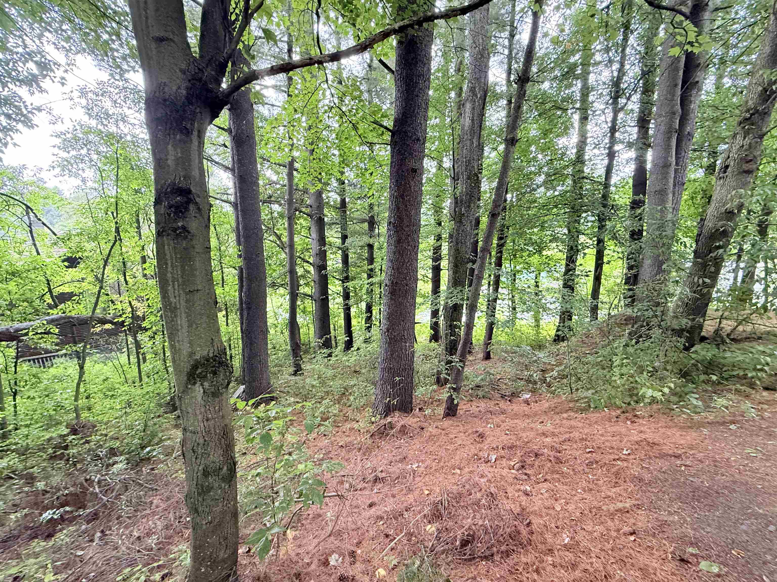 26 Log Cabin Lane photo 34
