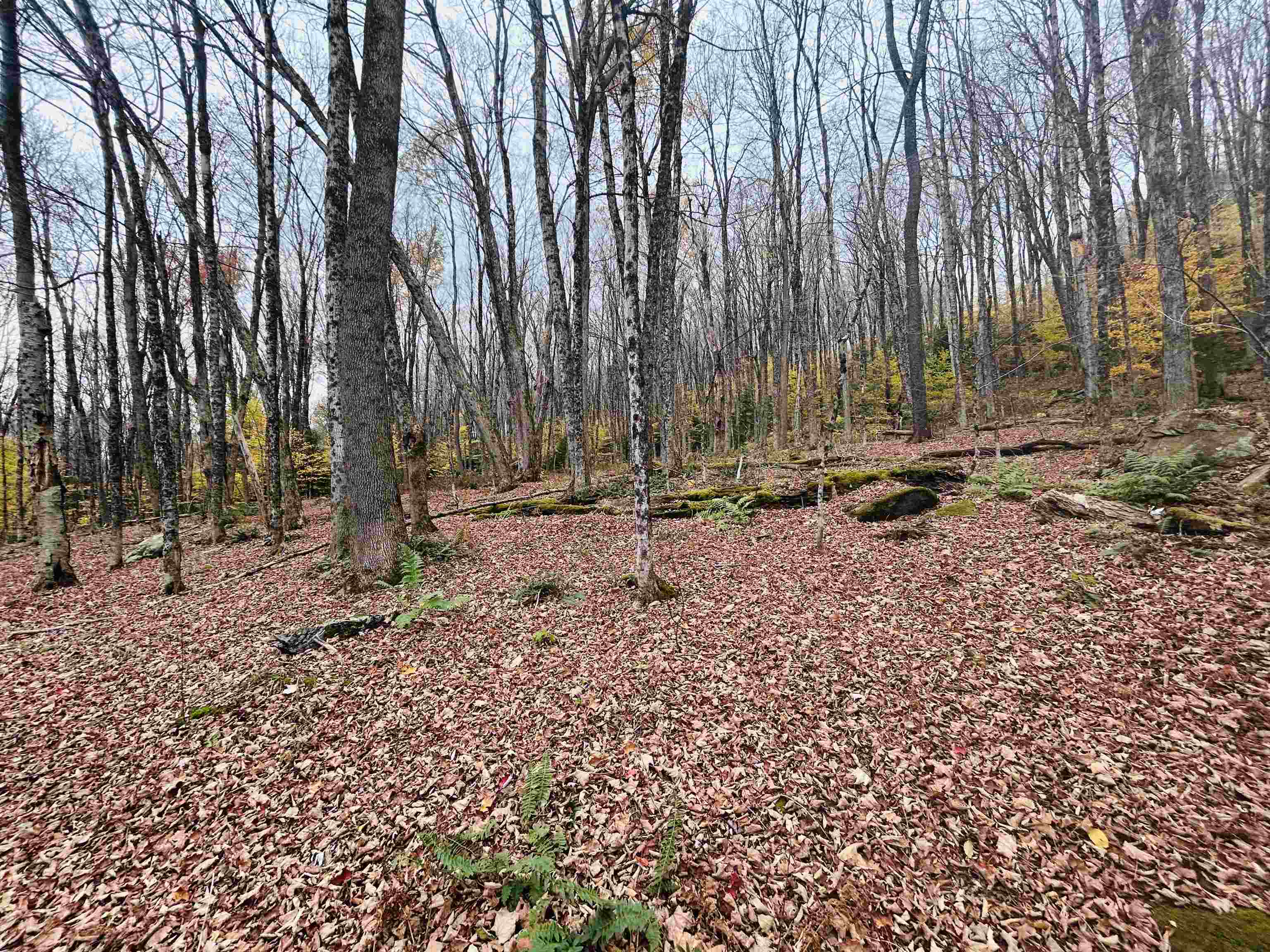 near 00 Bergrucken Lane Readsboro, VT 05350 Property 2
