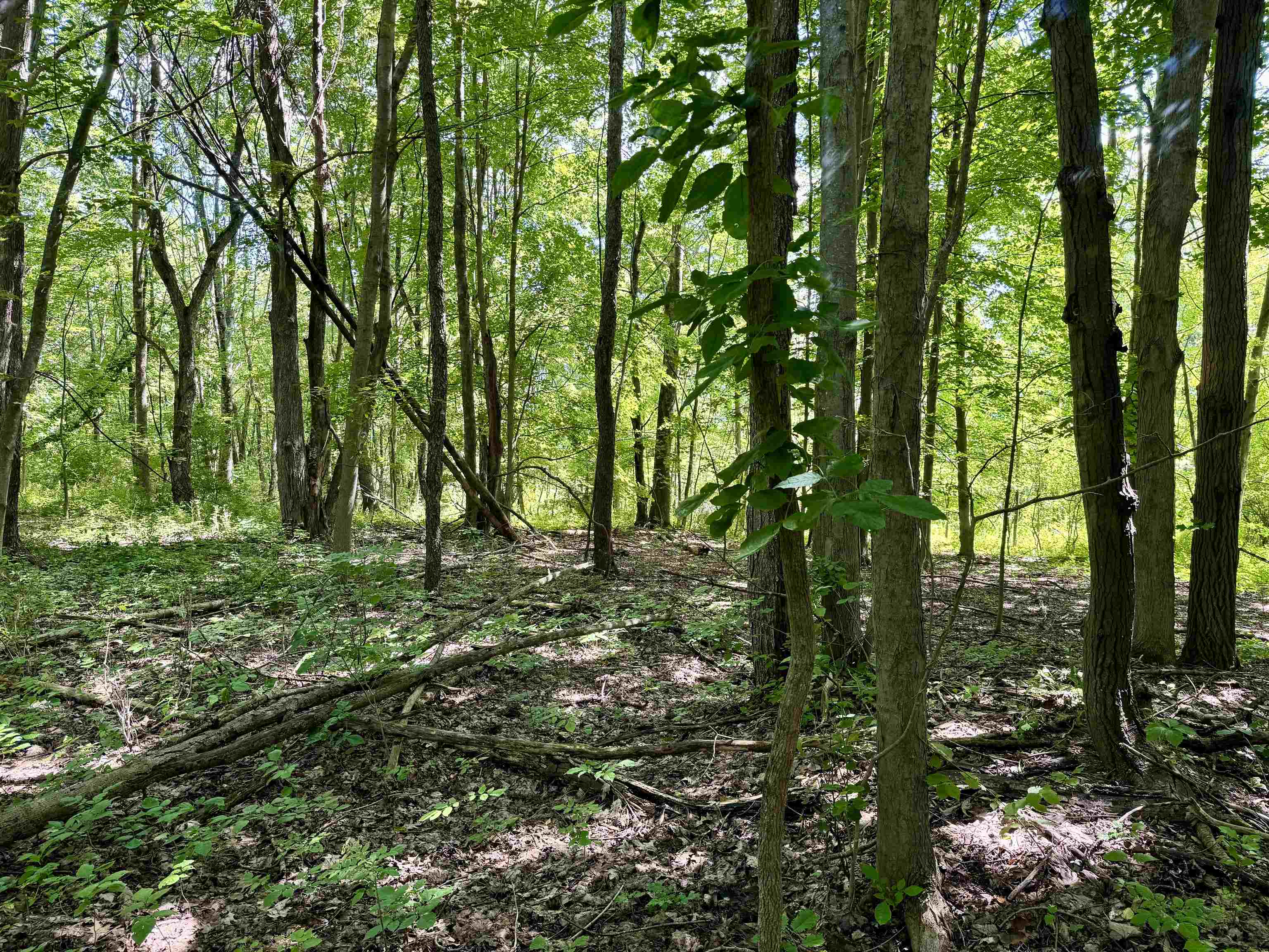 0 West Mountain Road photo 2