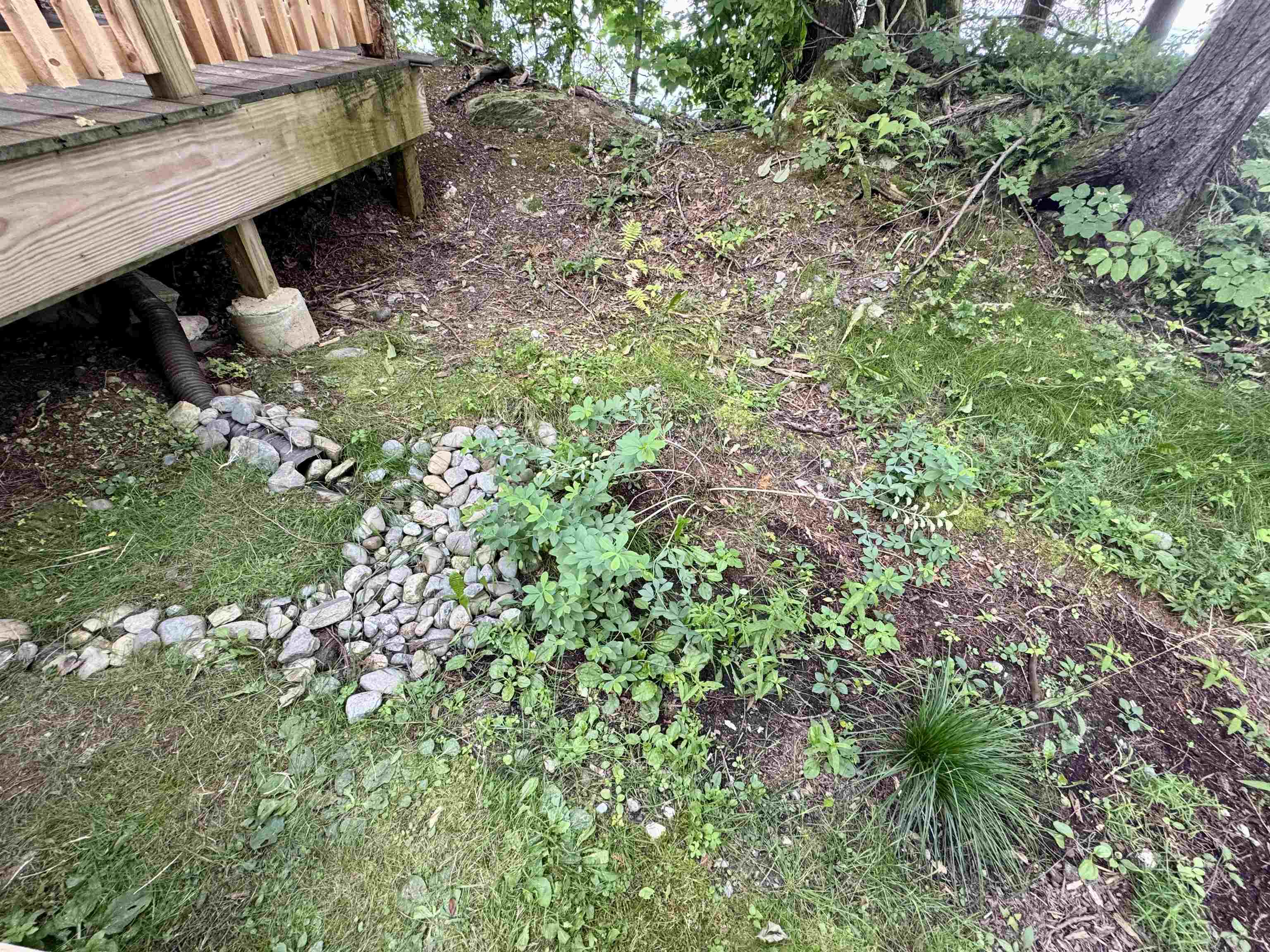 145 Shore Road photo 21