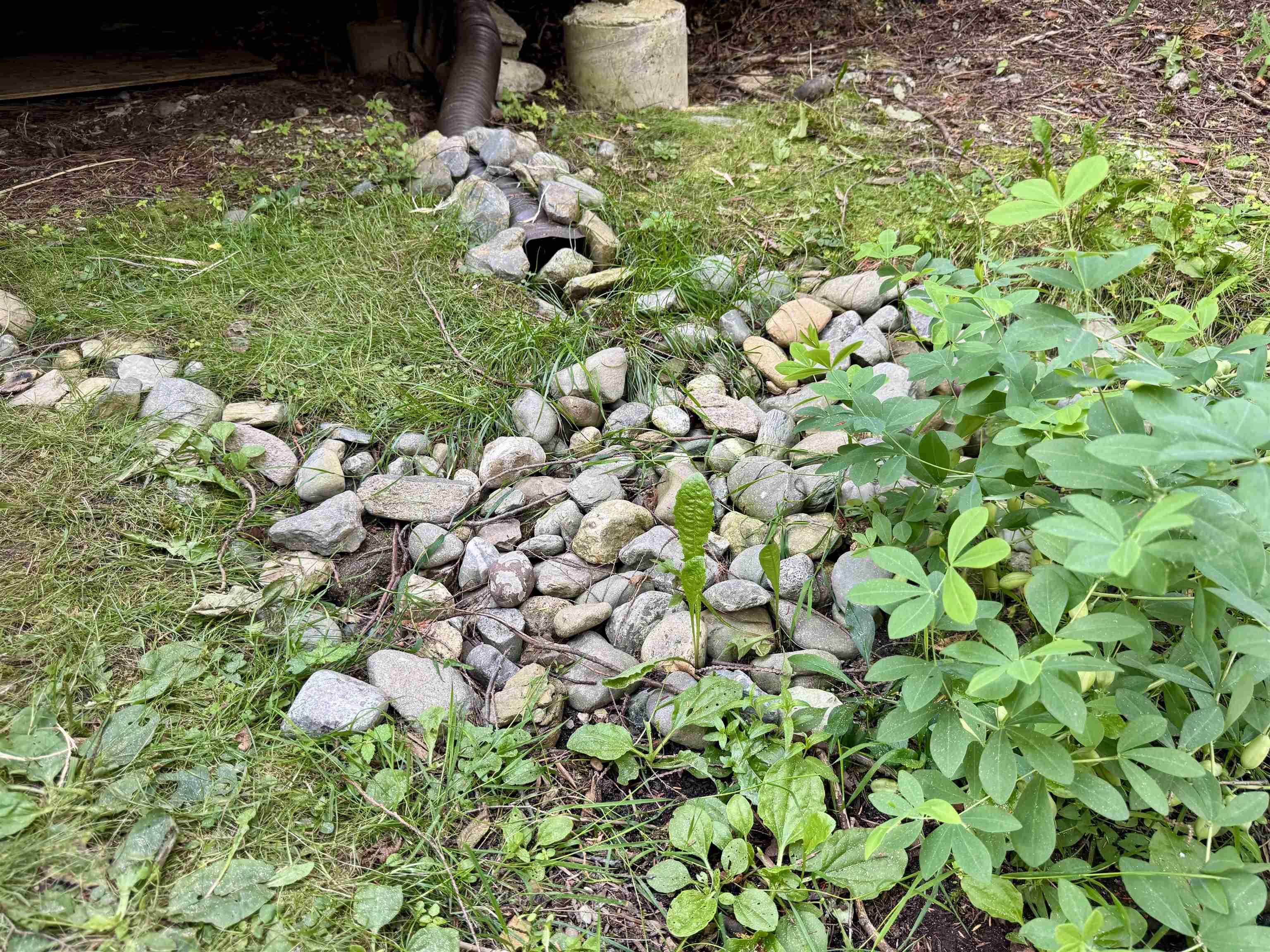 145 Shore Road photo 22