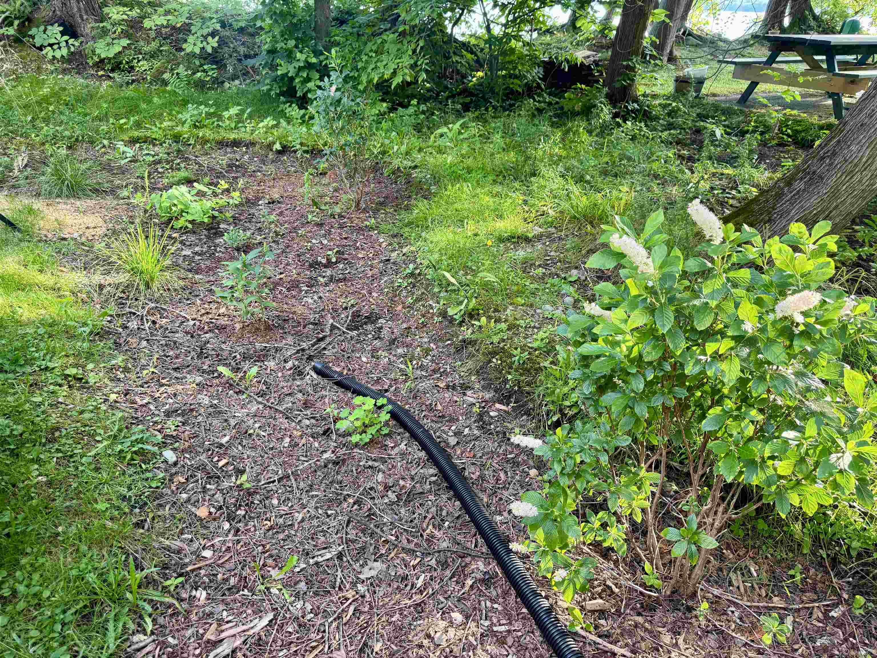 145 Shore Road photo 23