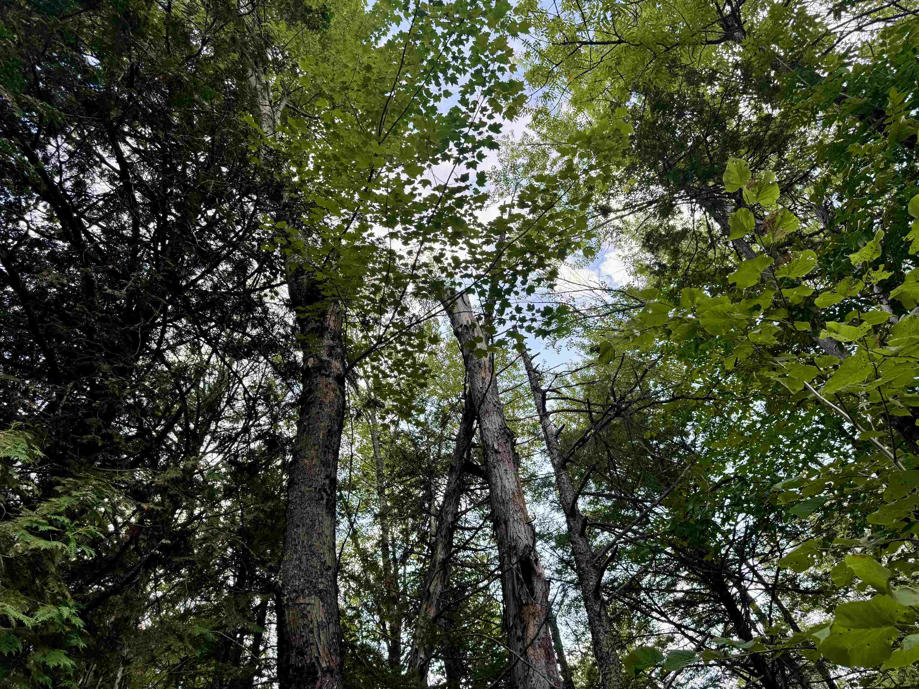 145 Shore Road photo 40