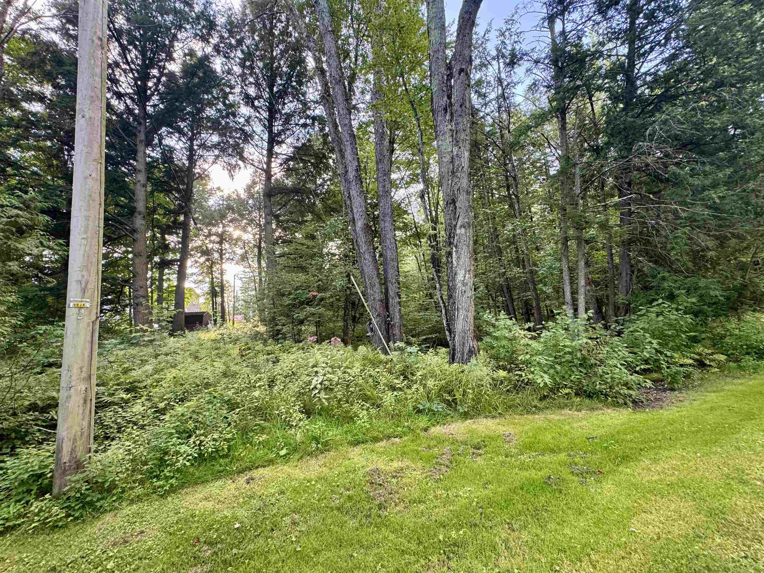 145 Shore Road photo 41