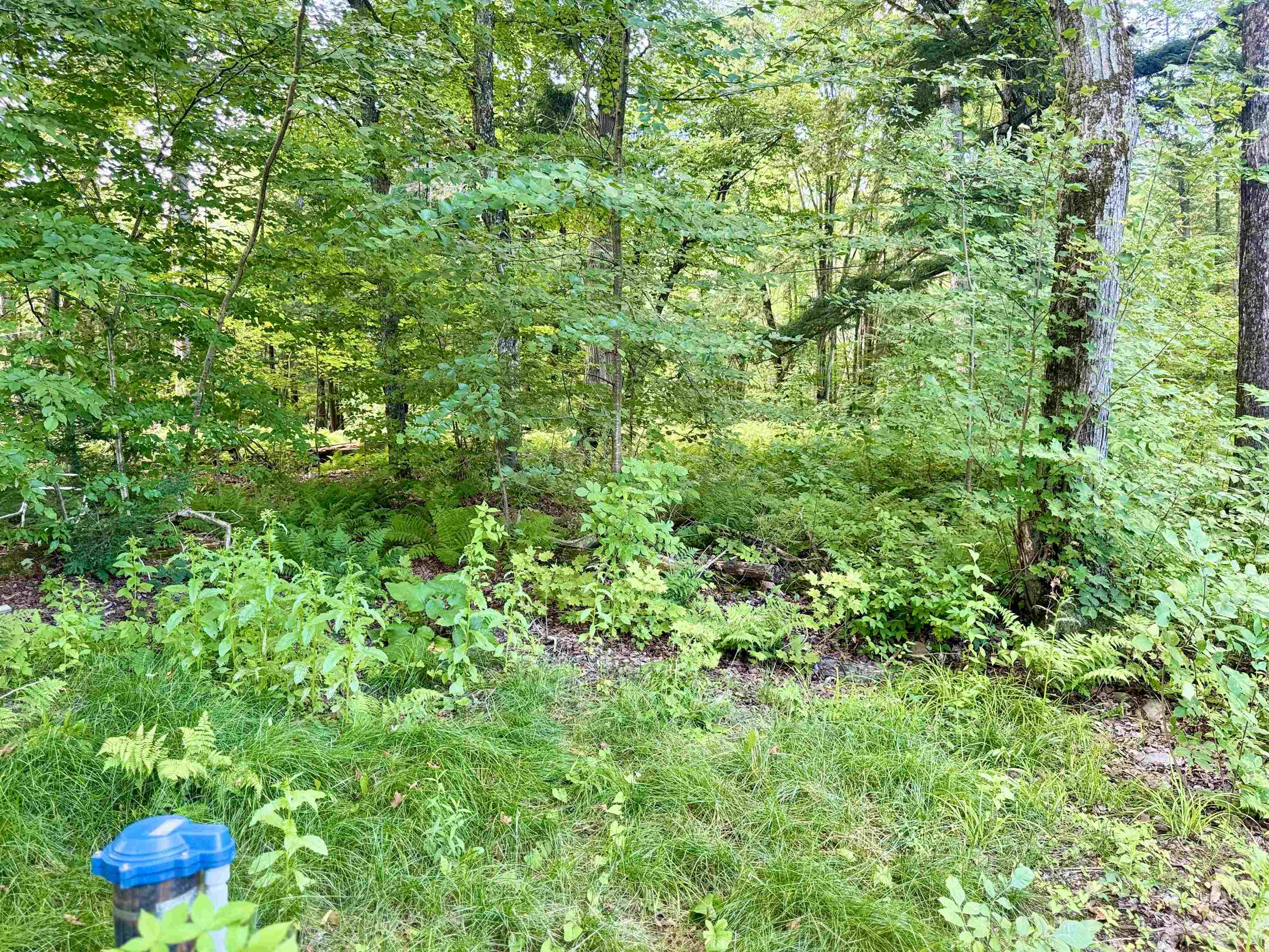 145 Shore Road photo 43
