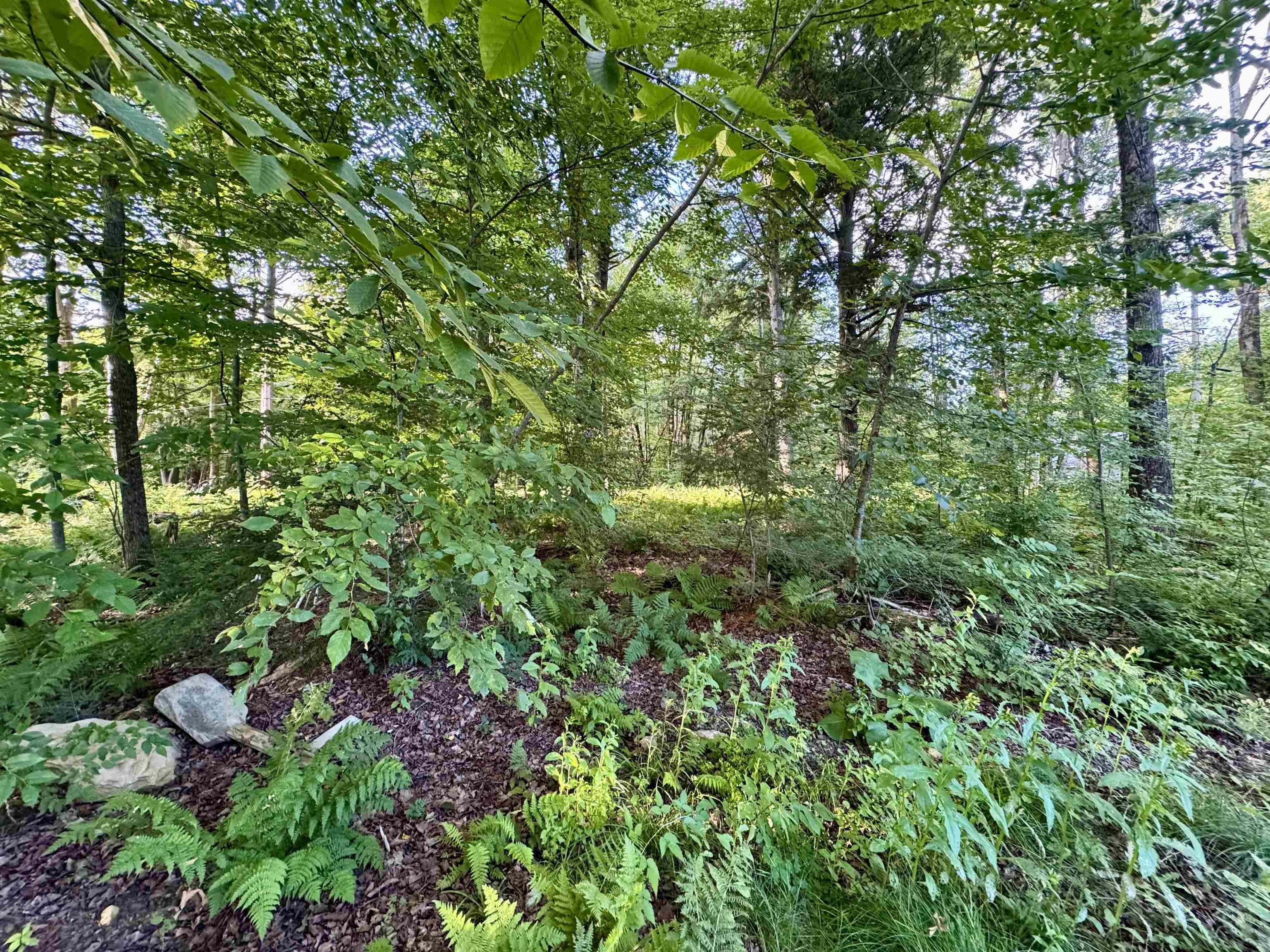 145 Shore Road photo 44
