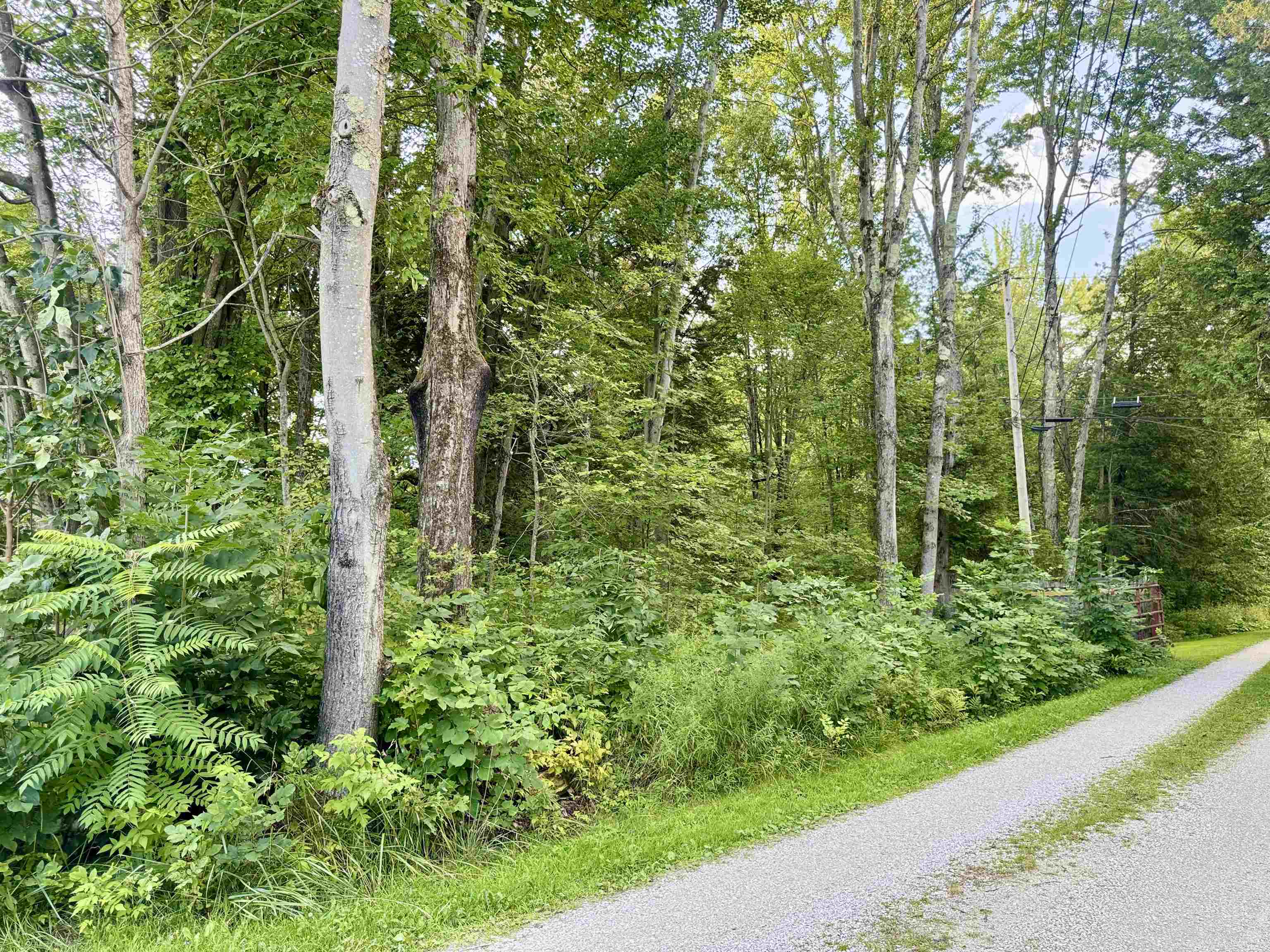 145 Shore Road photo 48