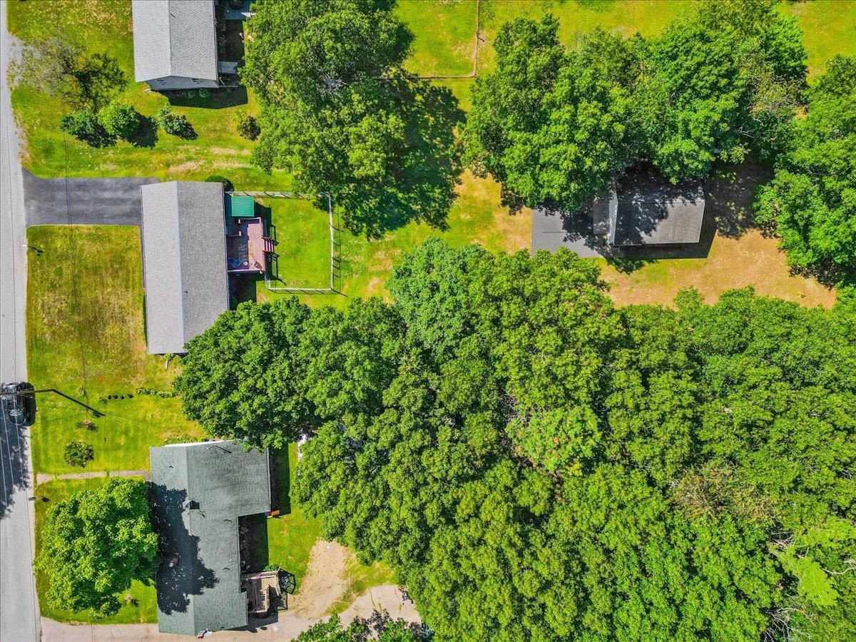 97 Pine Lane photo 60