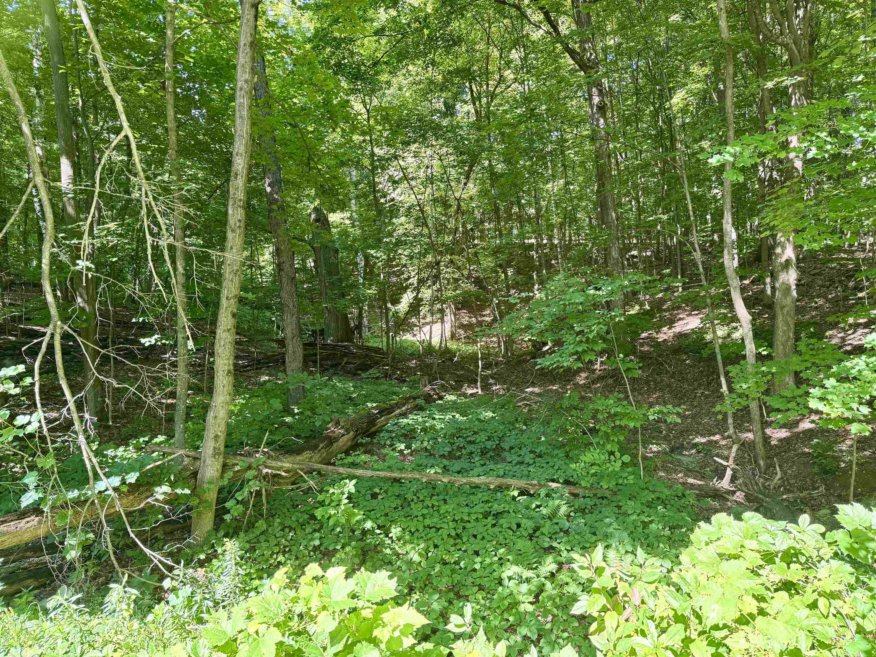 0 West Mountain Road photo 8