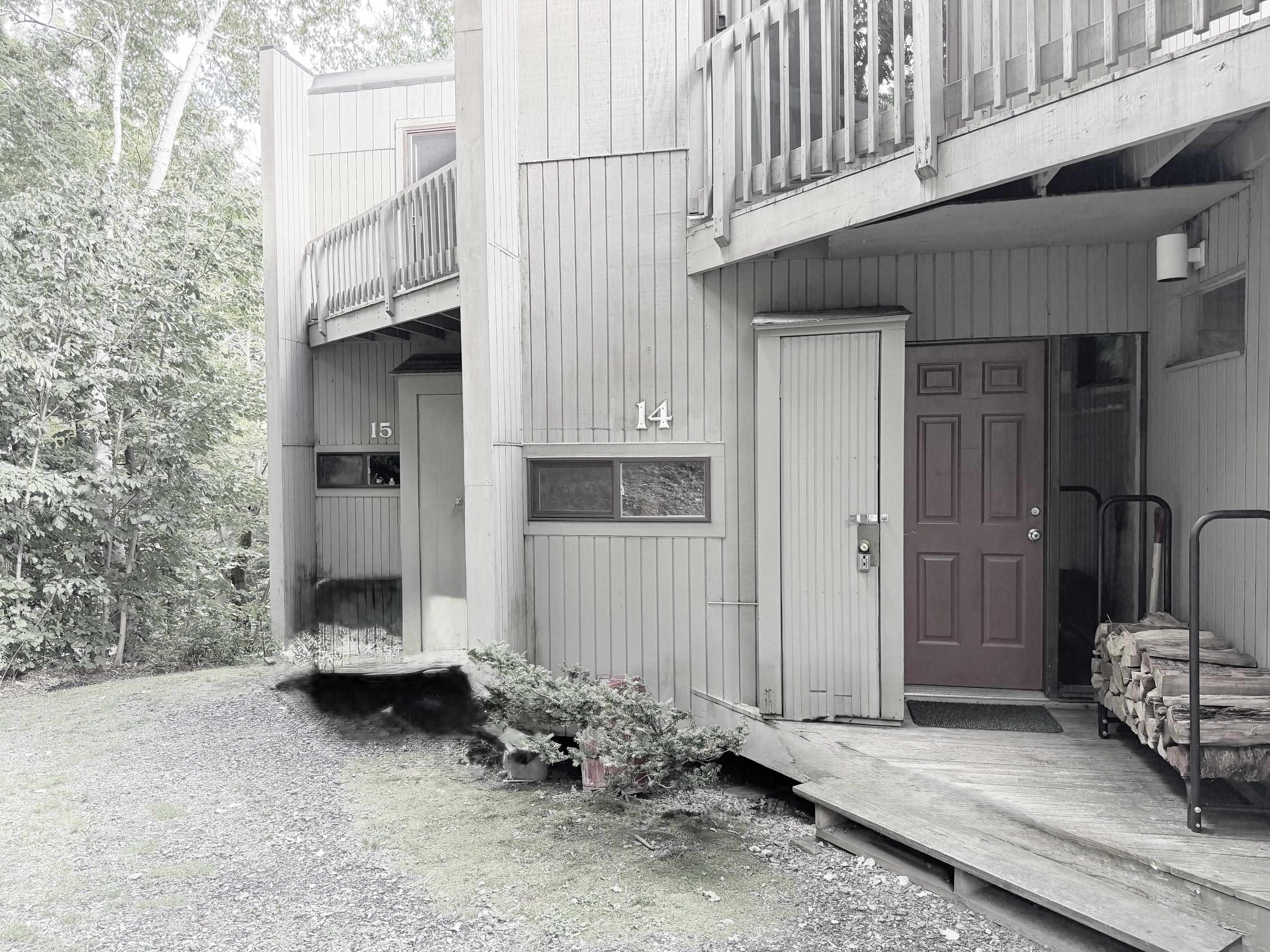72 Trailside Drive photo 1