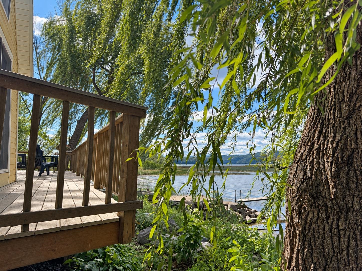172 South Road photo 14
