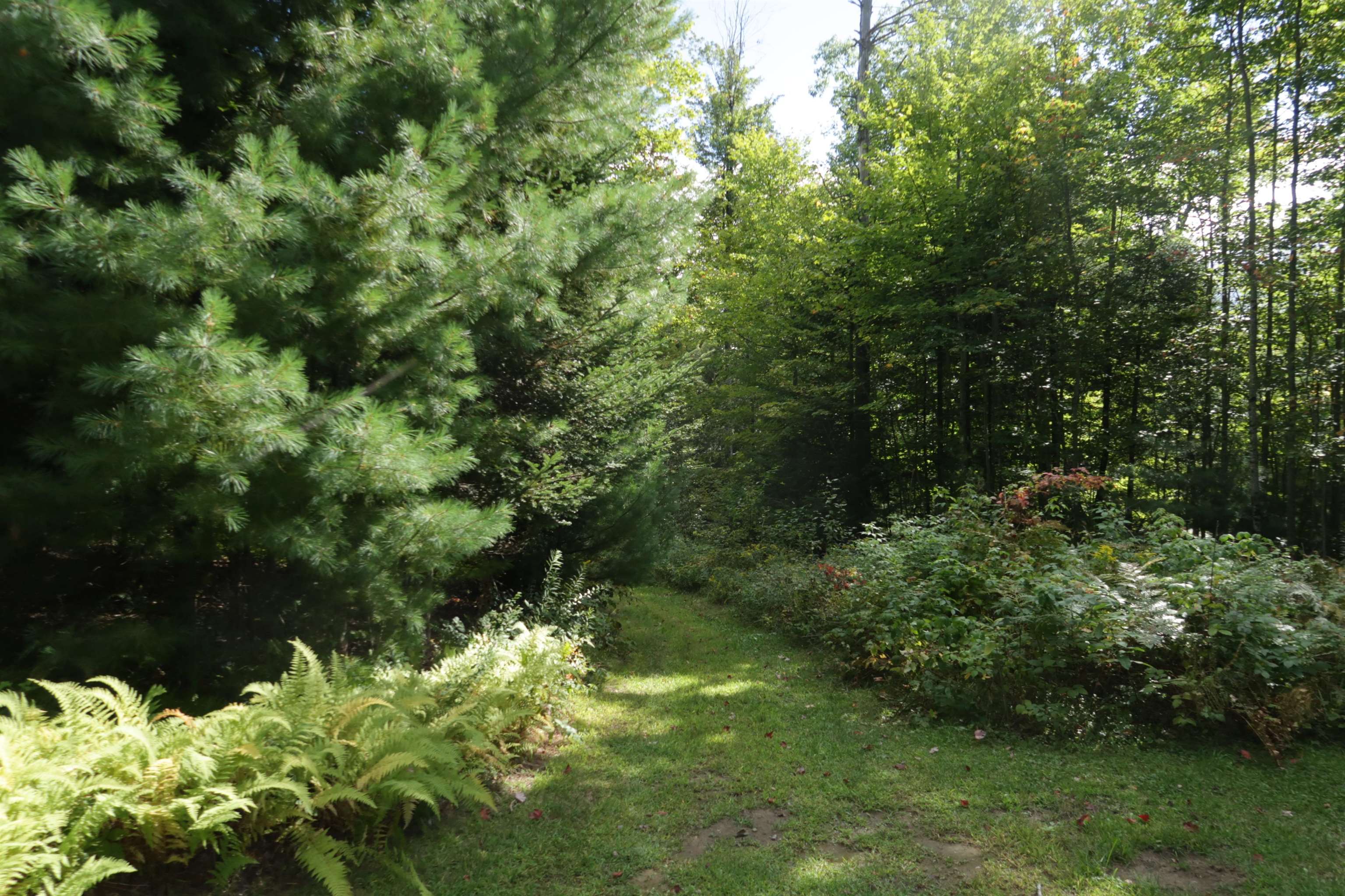 166 Mitchell Road photo 17