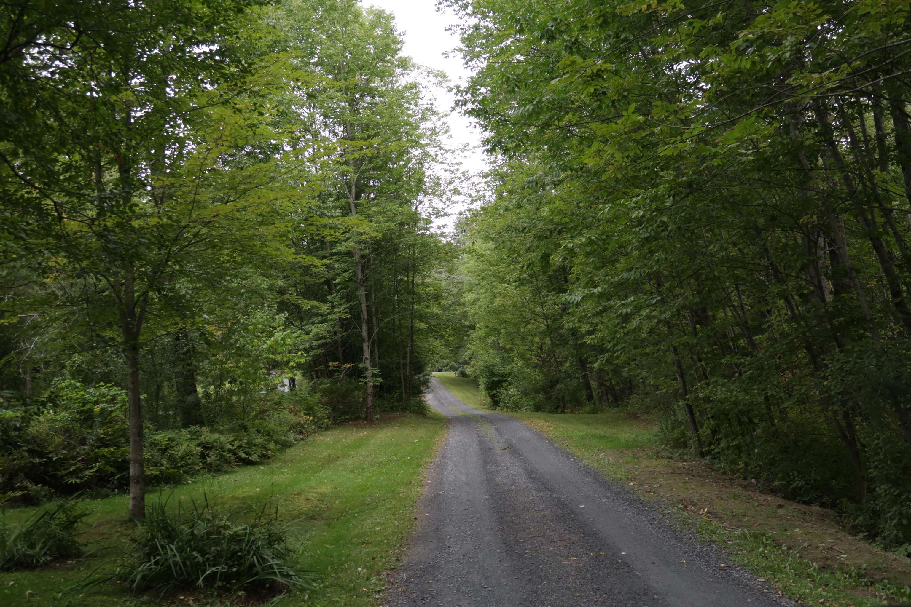 166 Mitchell Road photo 18