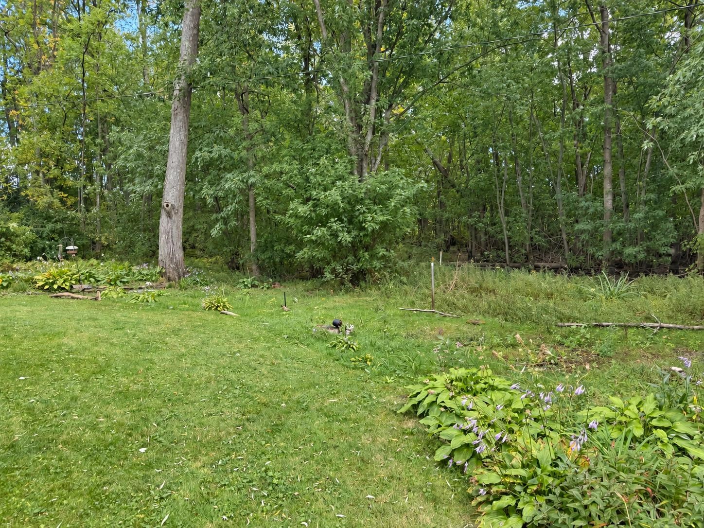 172 South Road photo 18