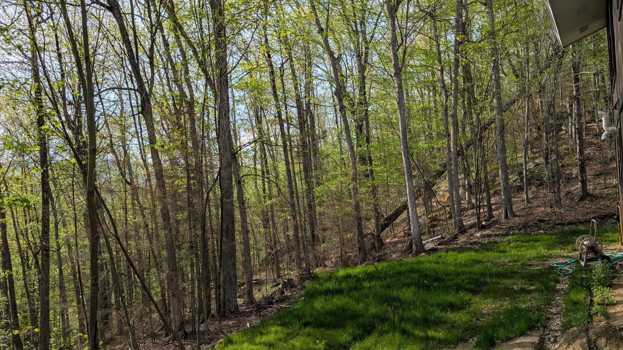 303 Winding Way photo 25