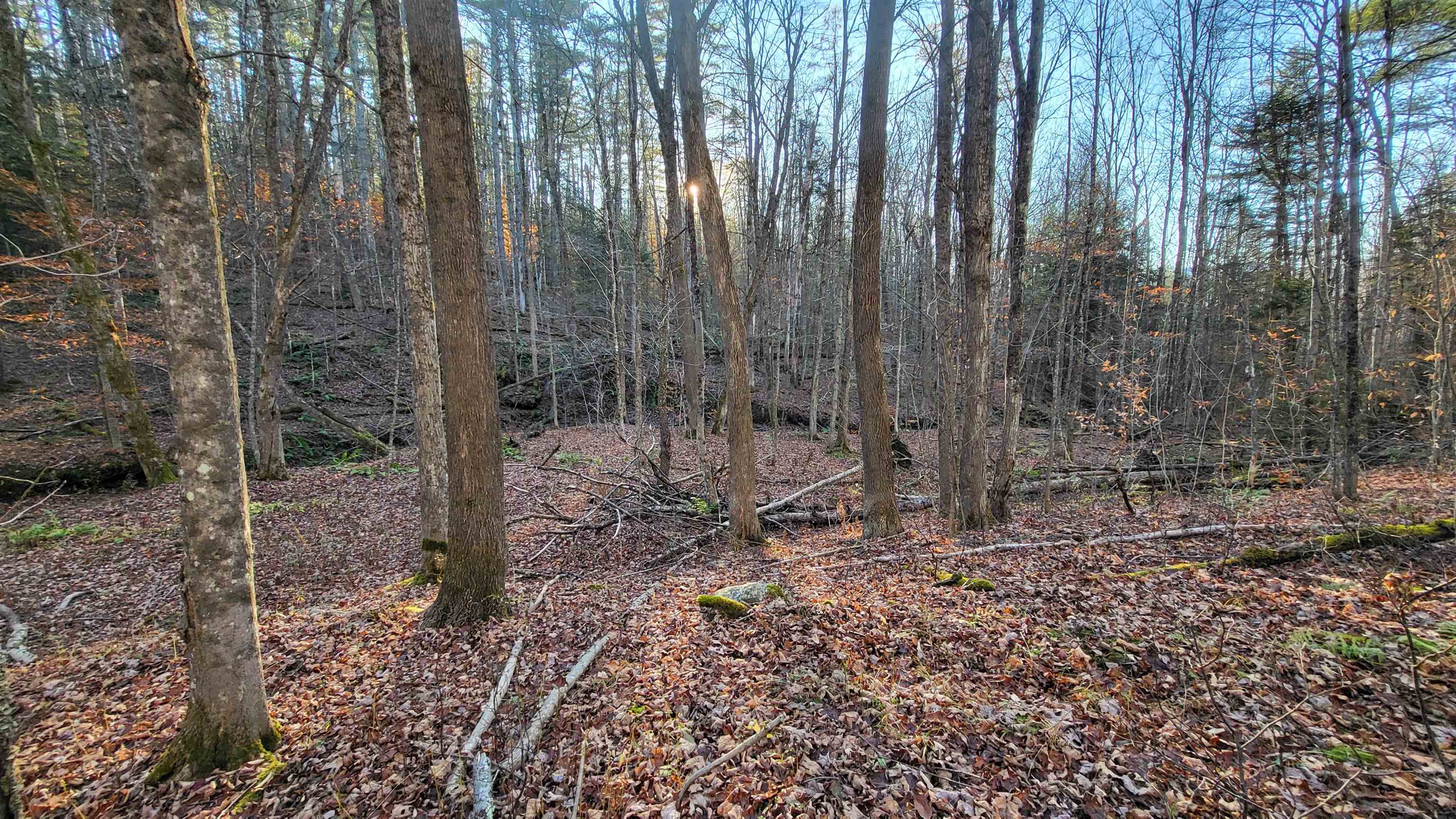 535 Collar Hill Road photo 4