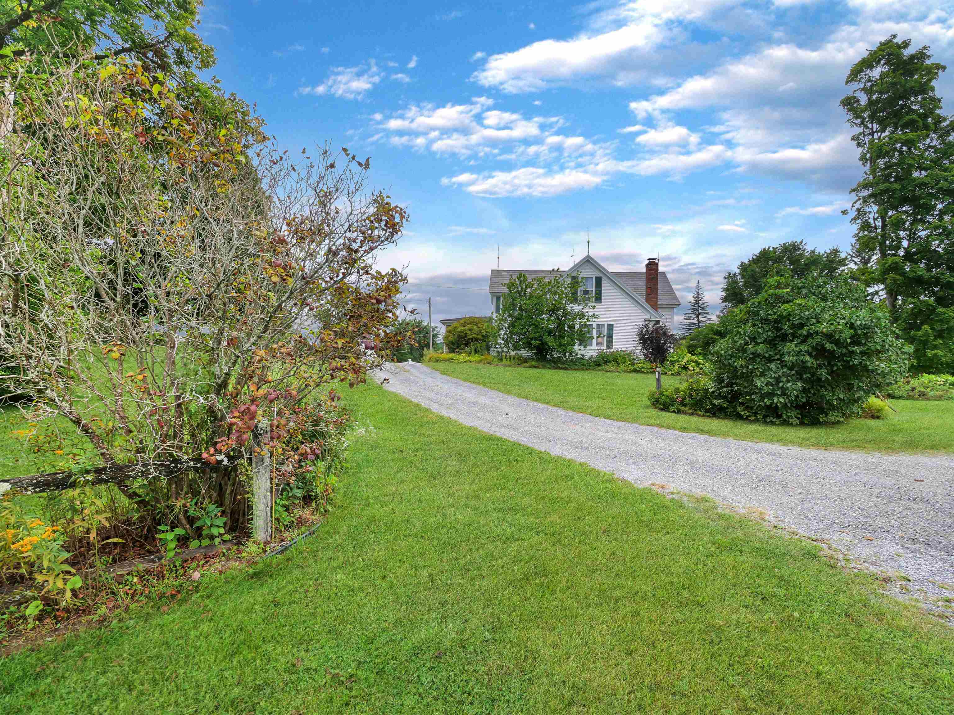 261 McKinley Avenue photo 52