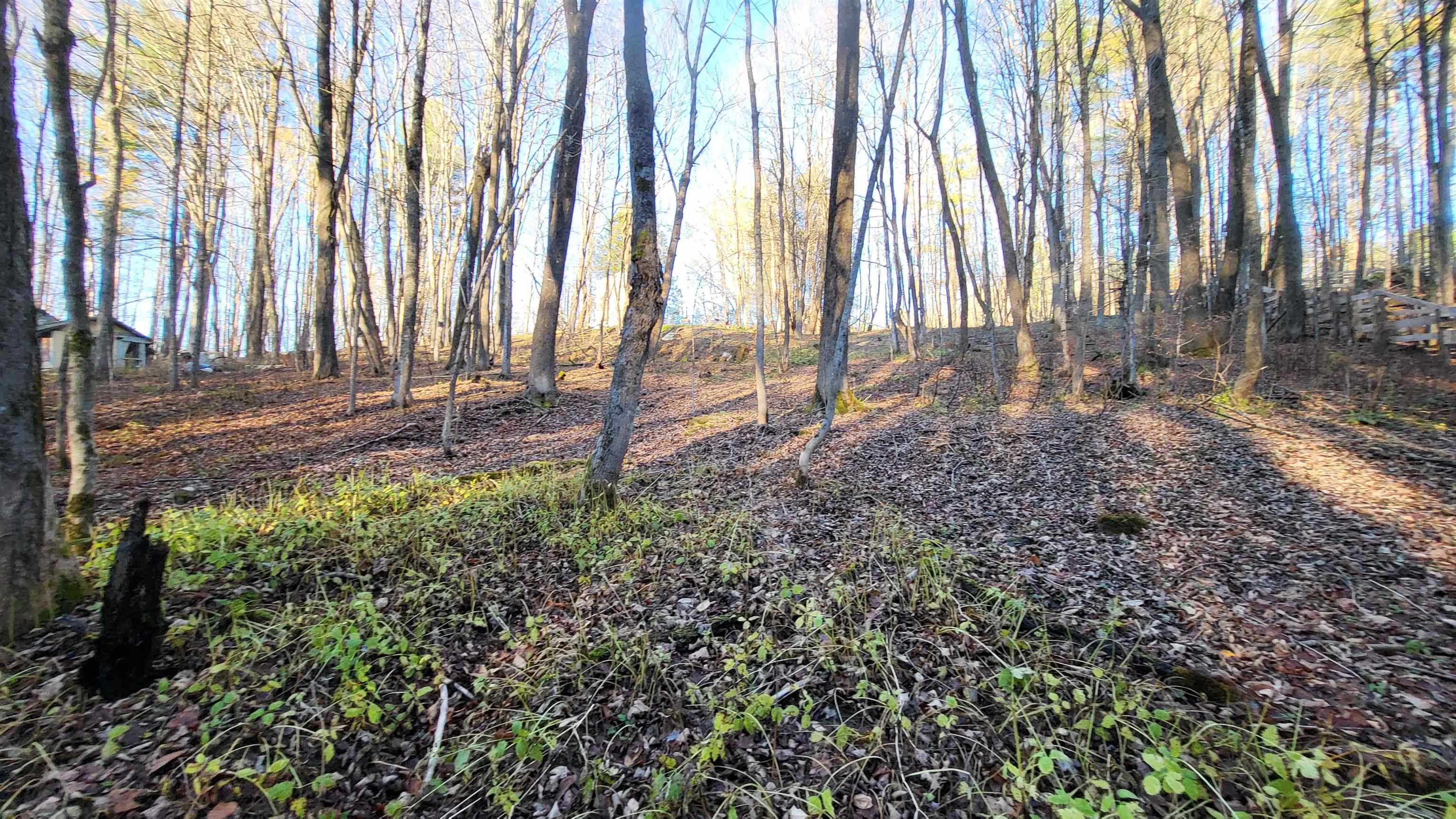 535 Collar Hill Road photo 7