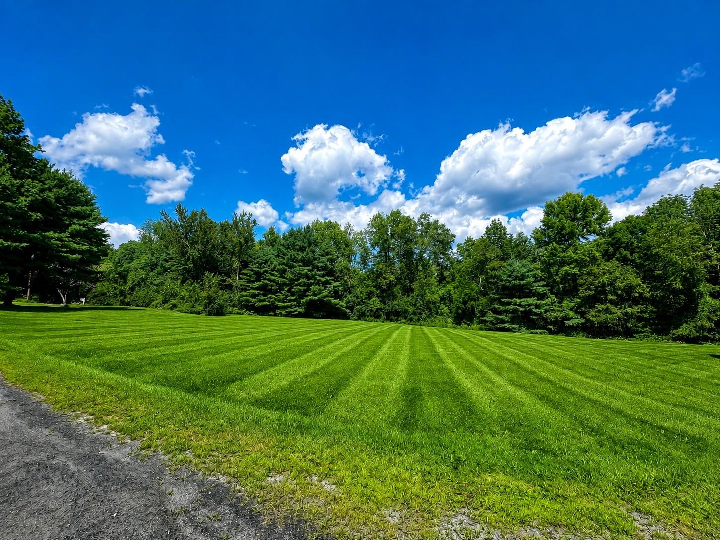 451 Godfrey Road photo 9
