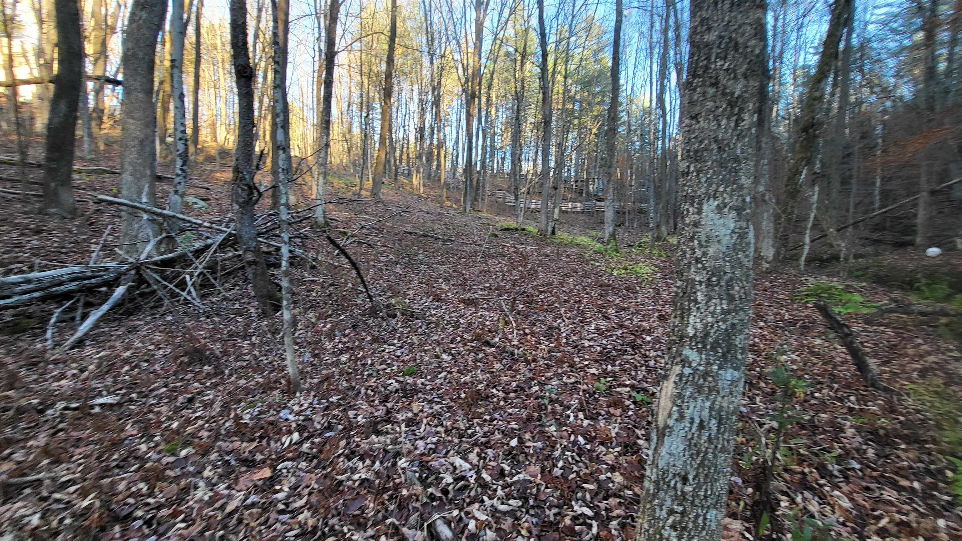 535 Collar Hill Road photo 9