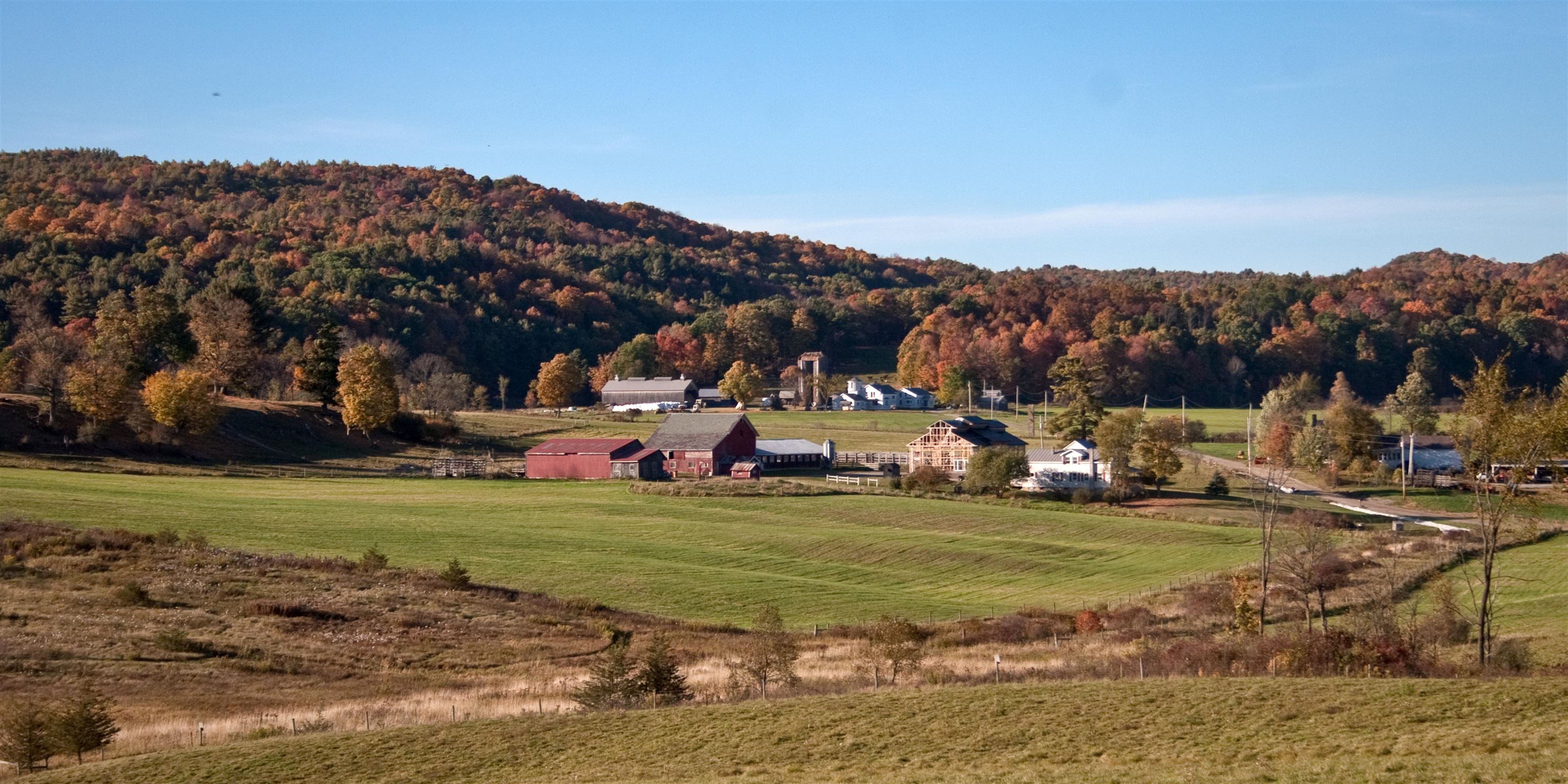 957 Pleasant Valley Road photo 59