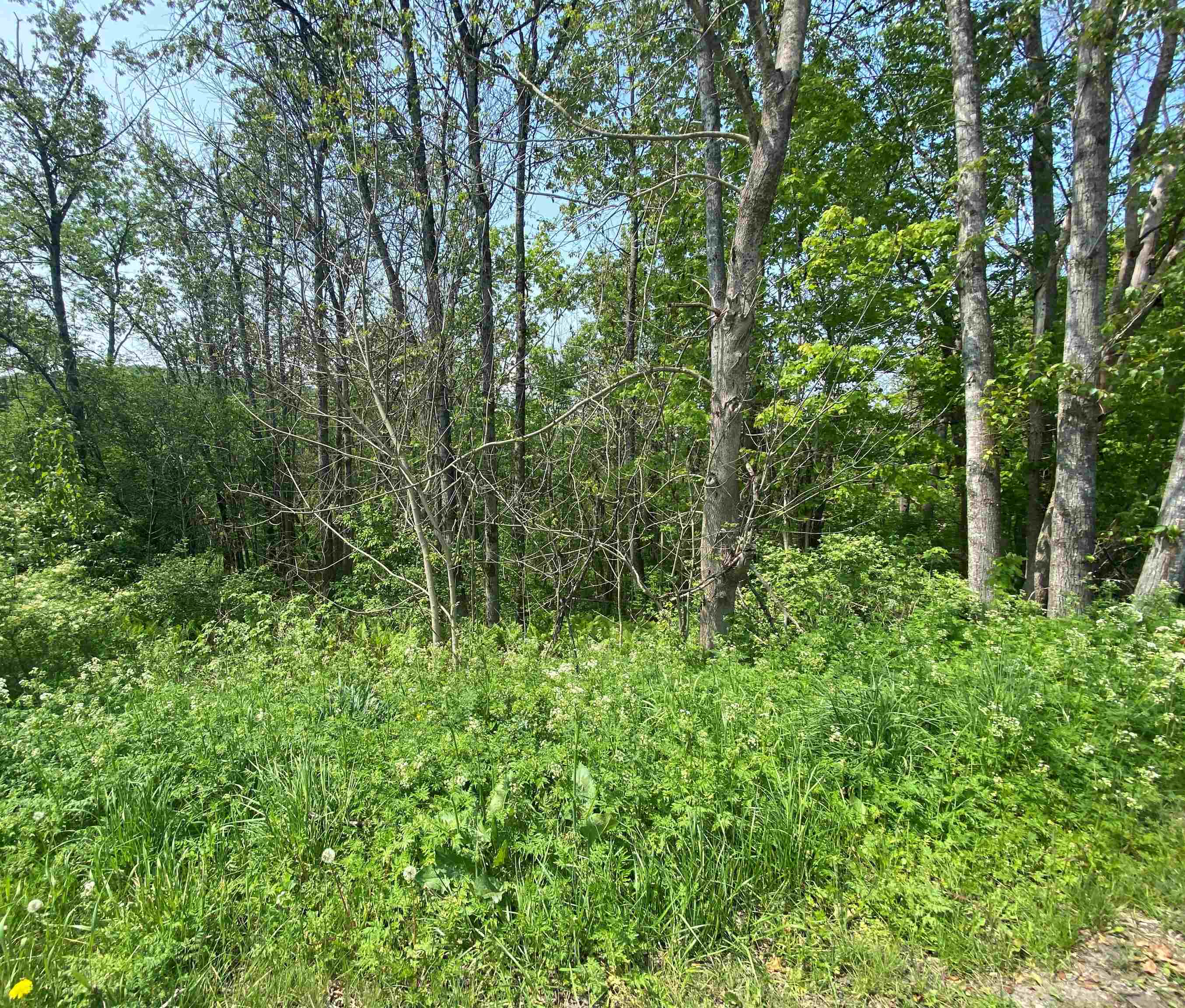 near TR 45 Harvey Road Randolph, VT 05060 Property 1