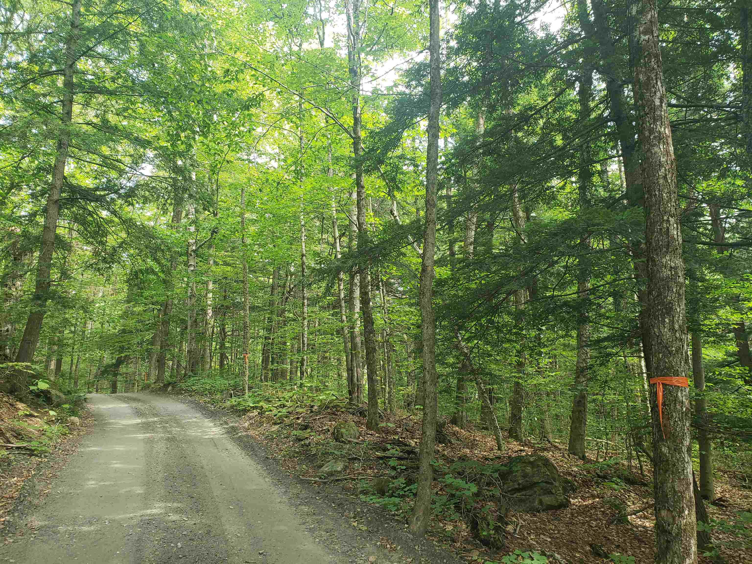near Lot 4 Old Town Road Wilmington, VT 05363 Property 3