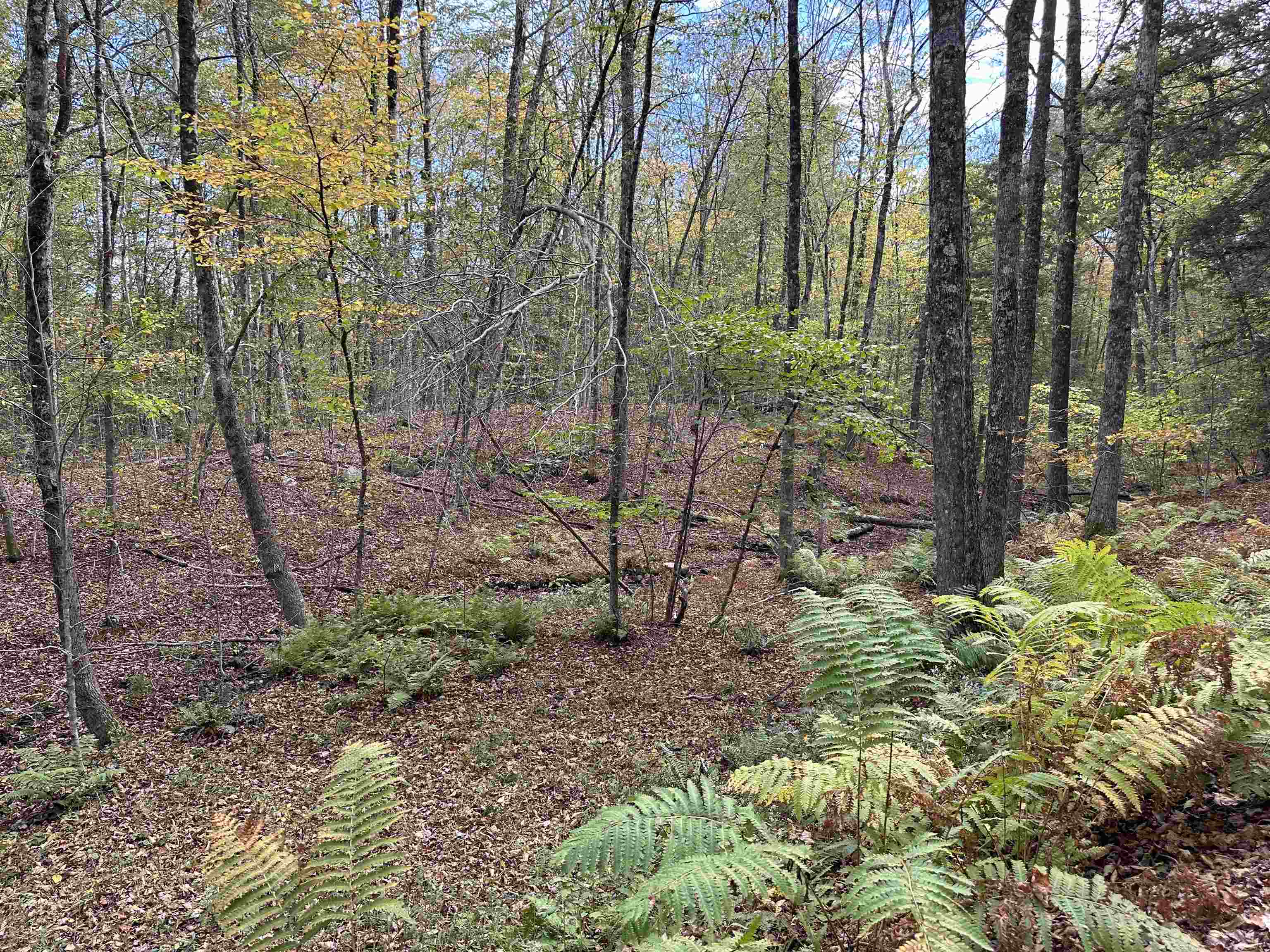 near 0 Banning Road Putney, VT 05346 Property 4