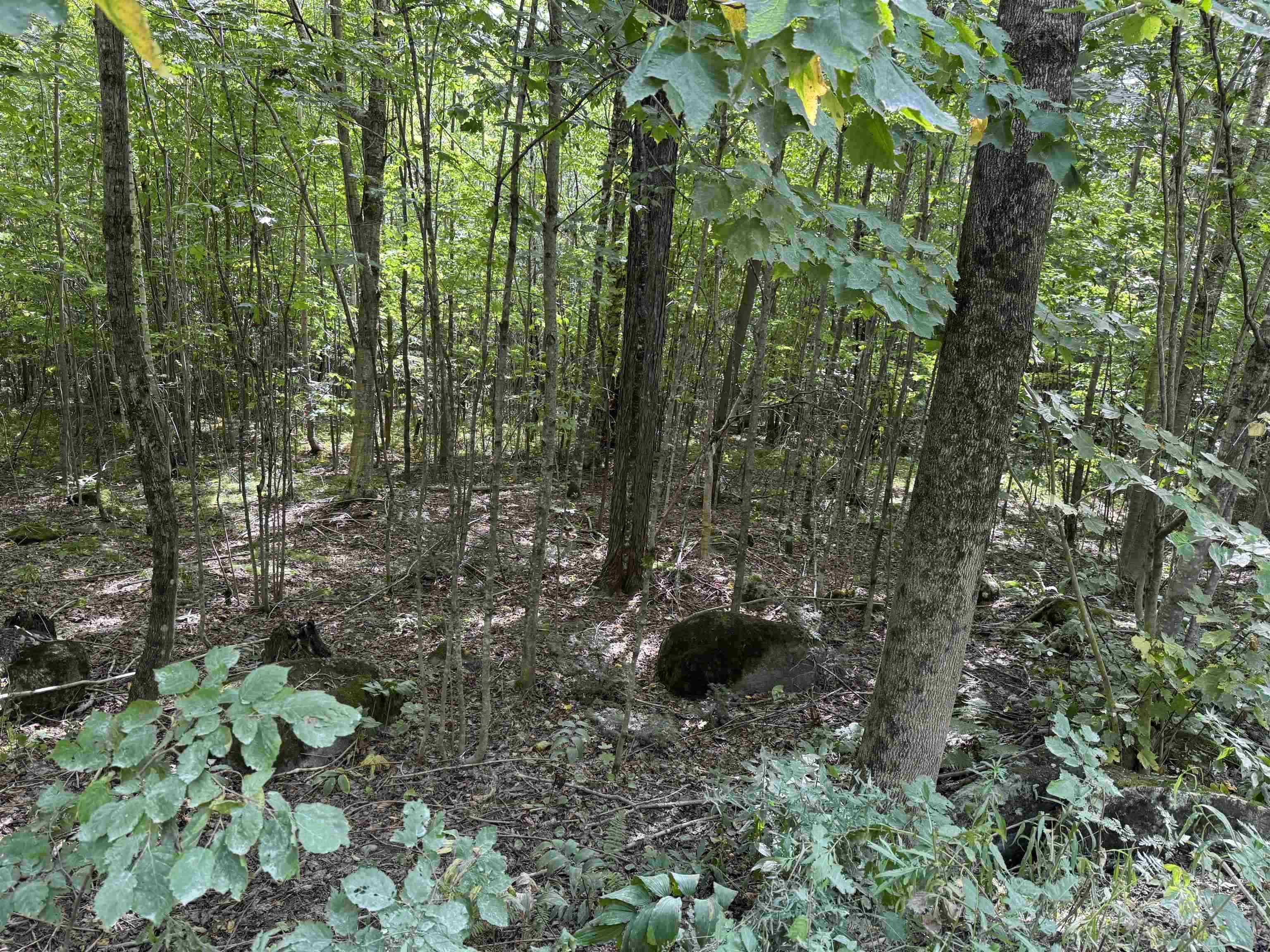 000 Granby Road photo 7