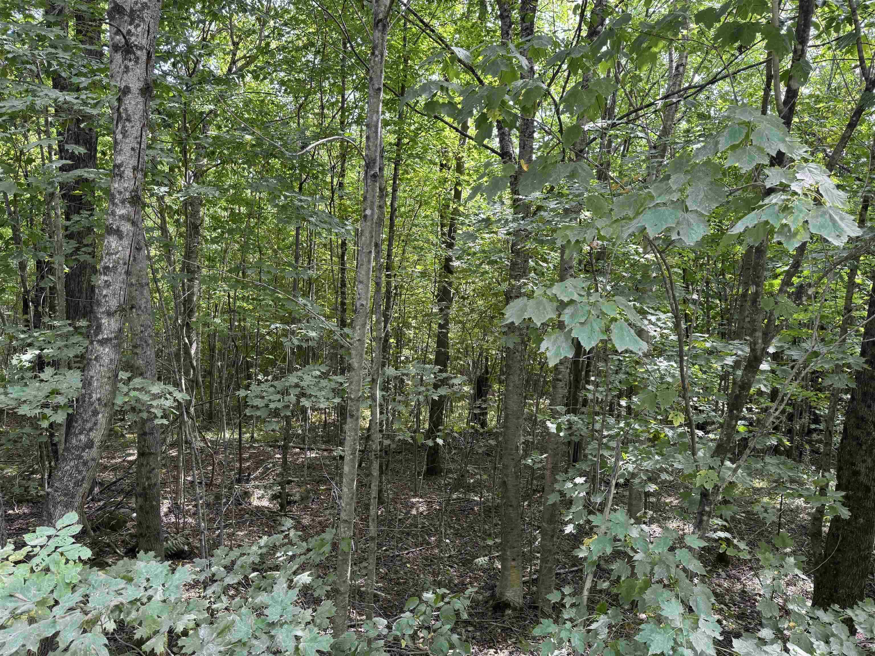 000 Granby Road photo 9