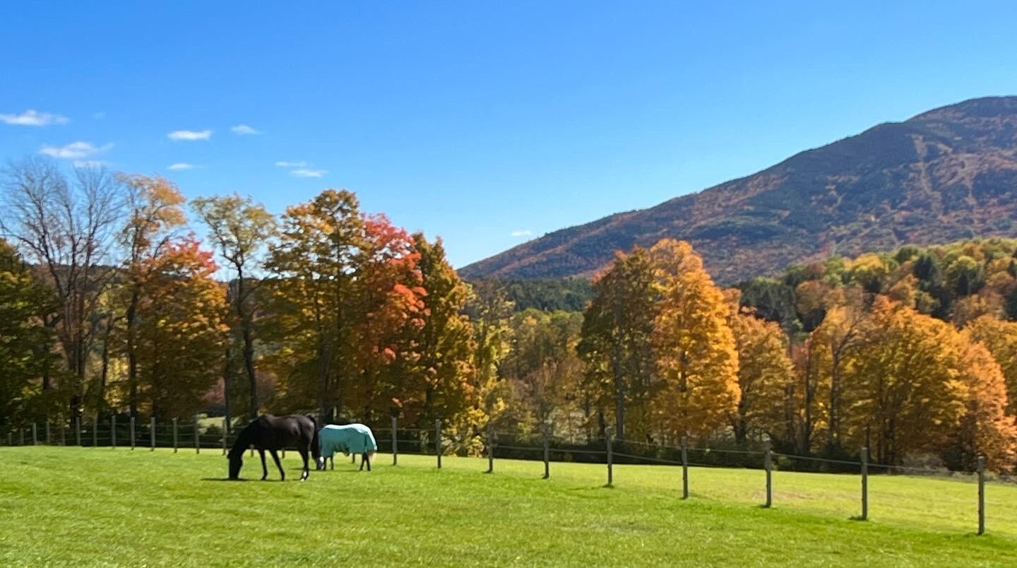 near 1503 Rush Meadow Road West Windsor, VT 05037 Property 3