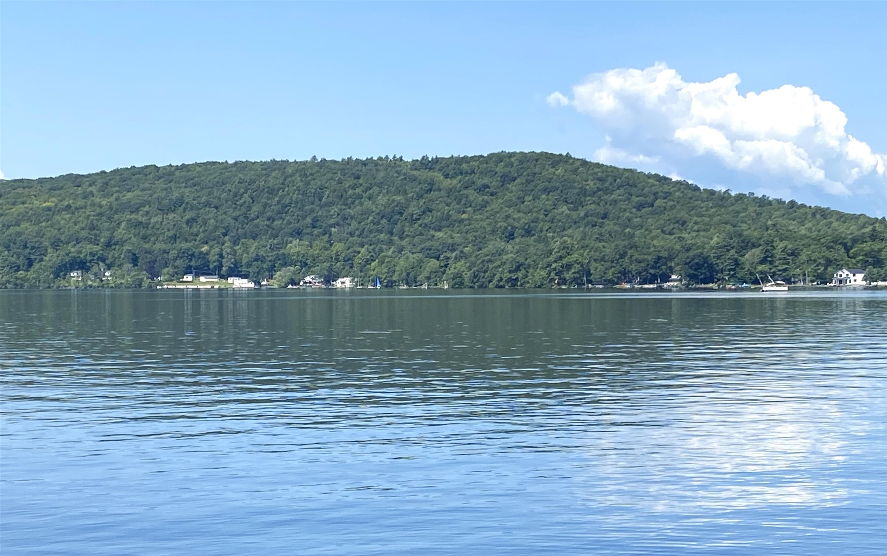 2935 Lake Dunmore Road photo 2