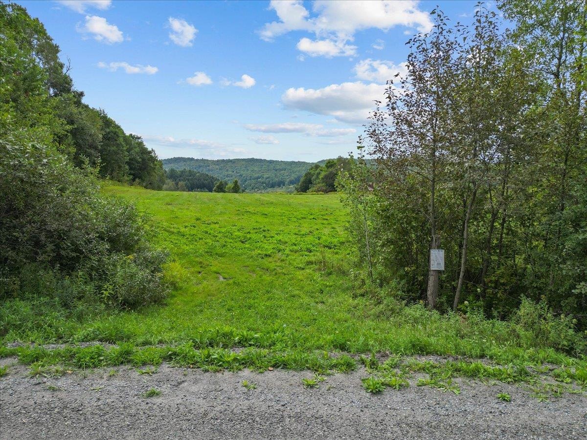 384 Woodward Road photo 2