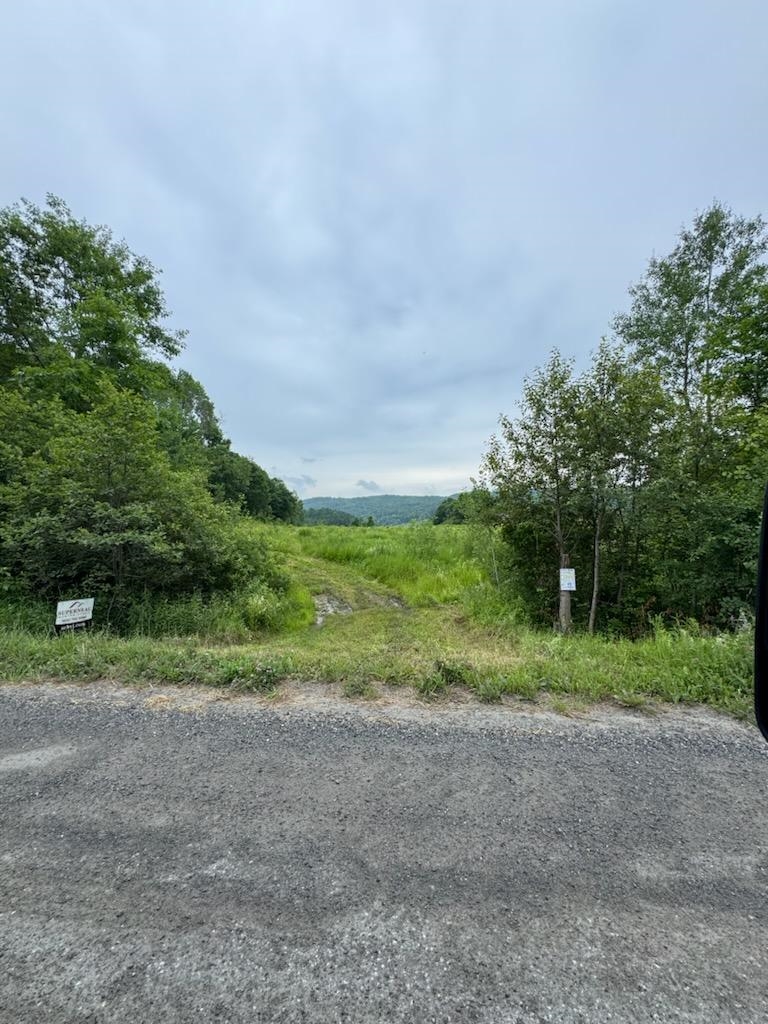 384 Woodward Road photo 21