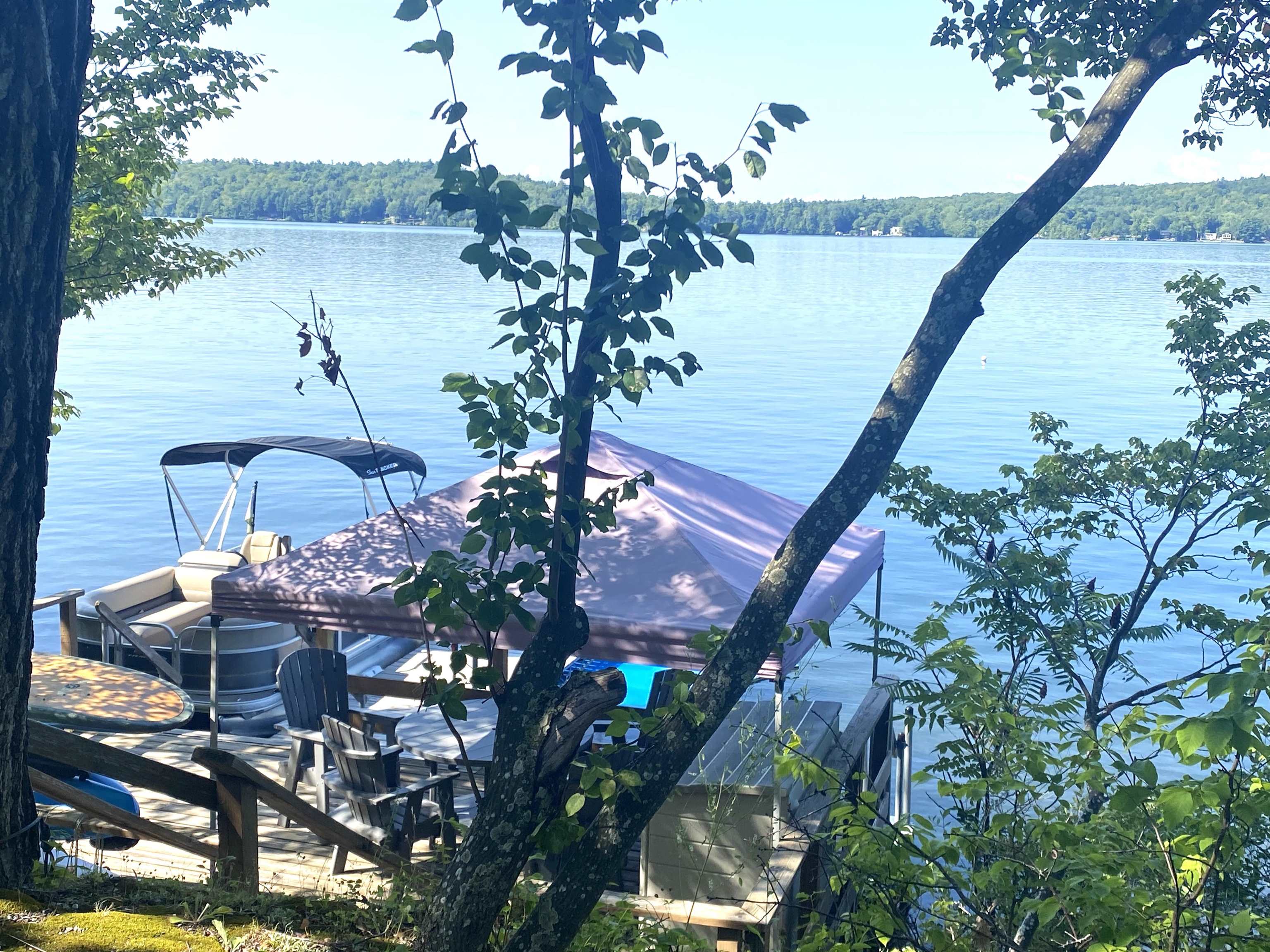 2935 Lake Dunmore Road photo 22