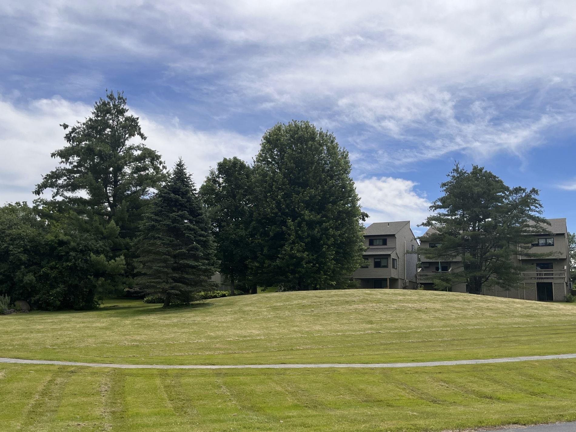 5 Lexington Green Street photo 37