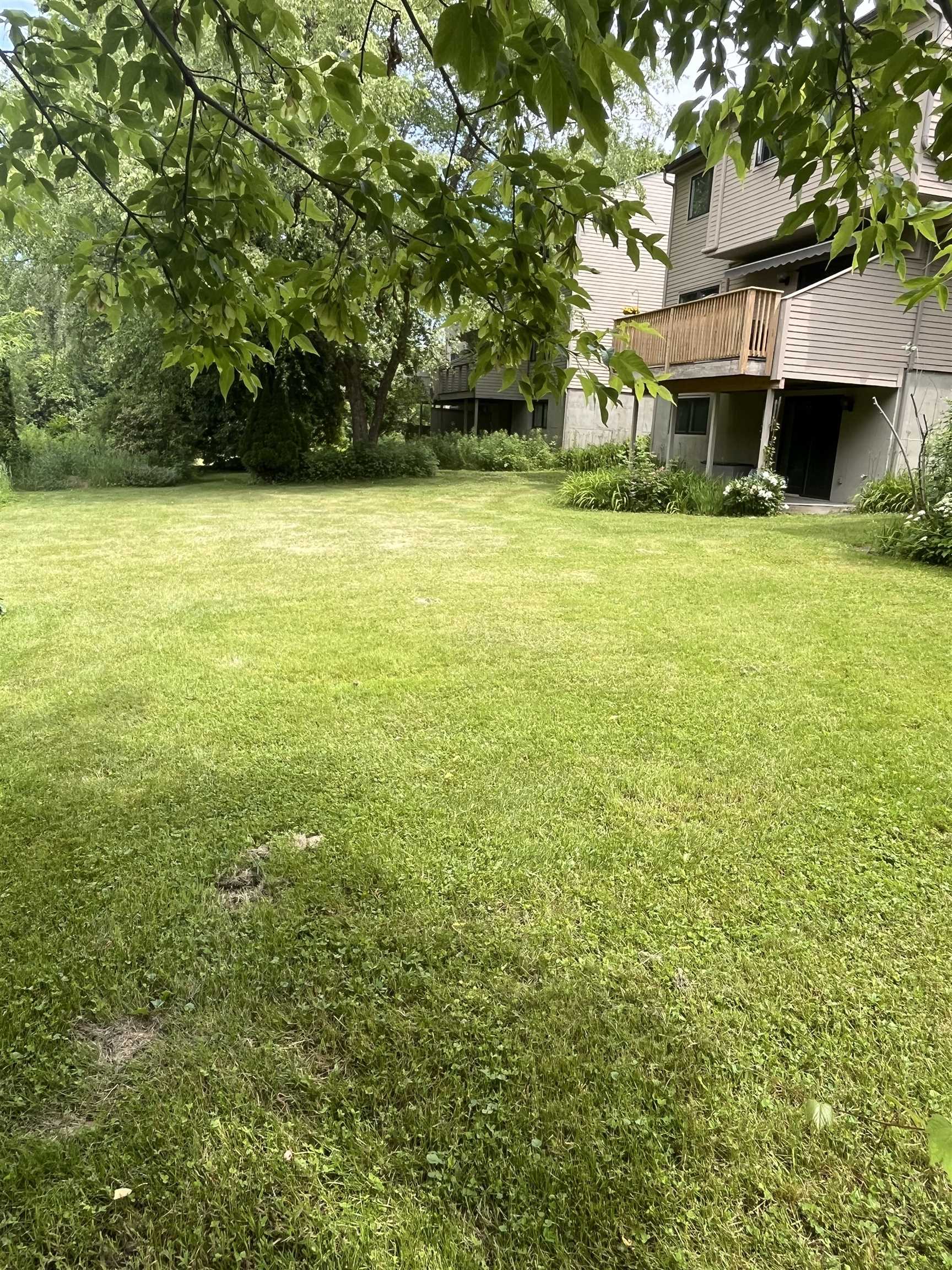5 Lexington Green Street photo 40