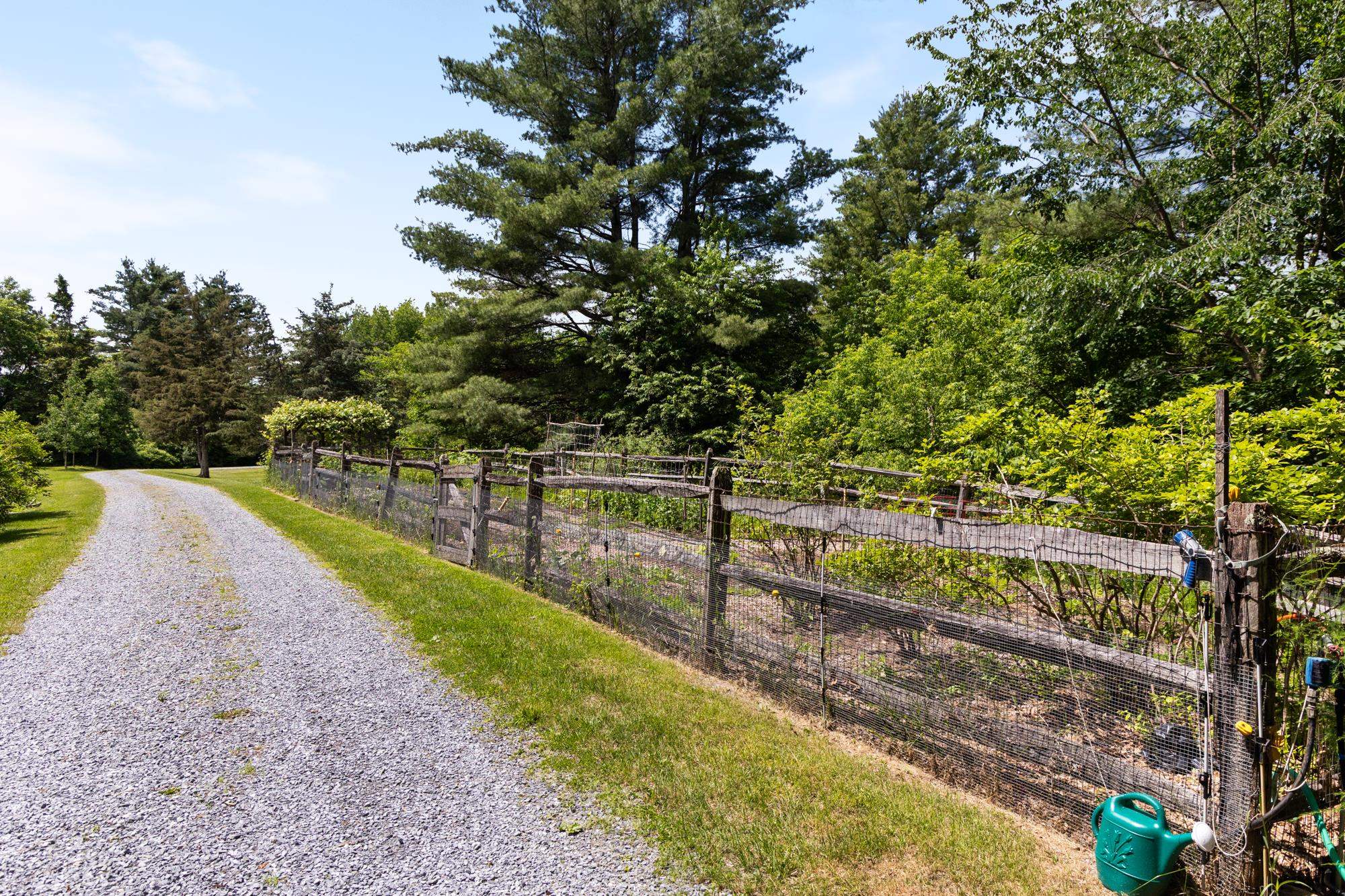 777 Mount Philo Road photo 54