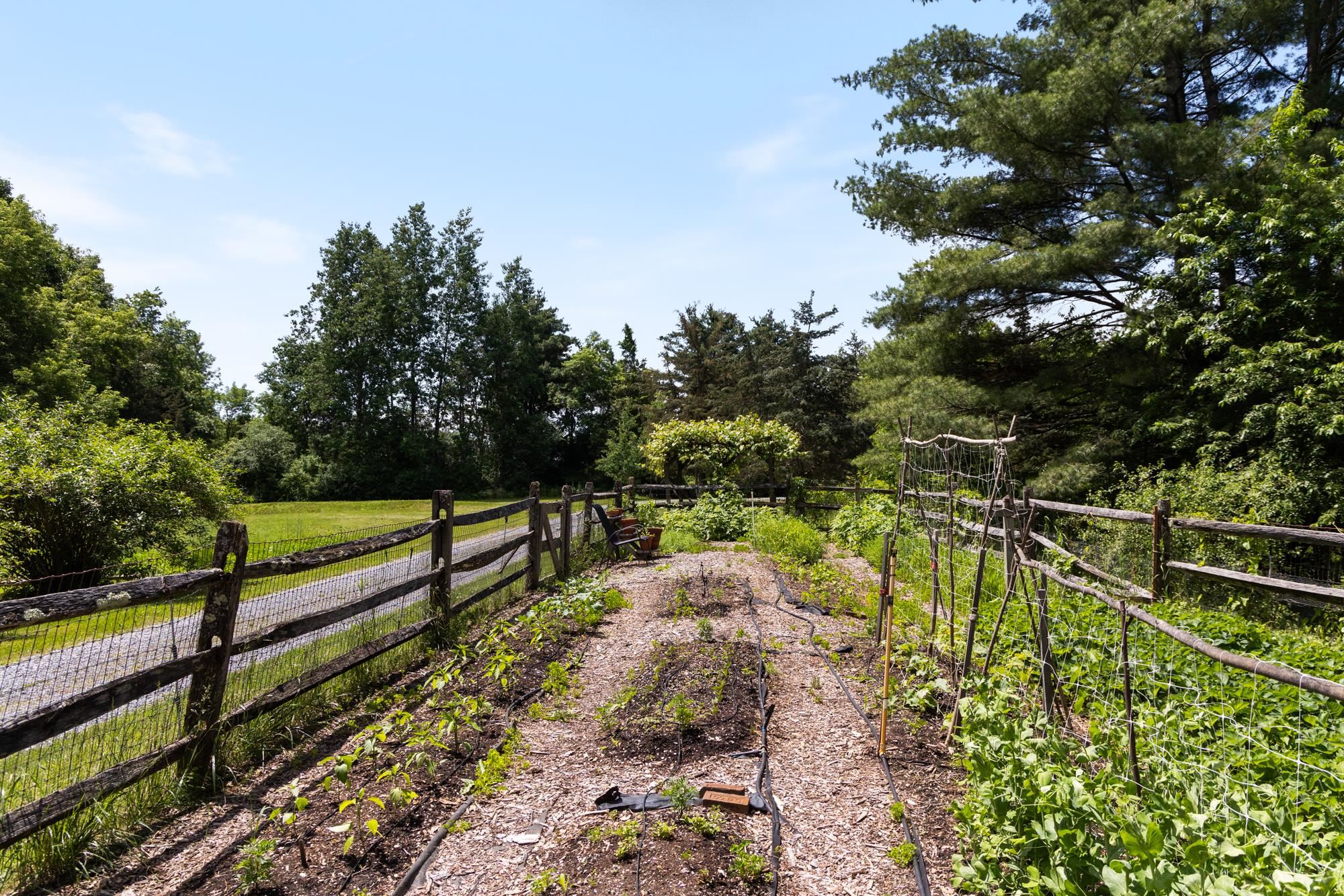 777 Mount Philo Road photo 55