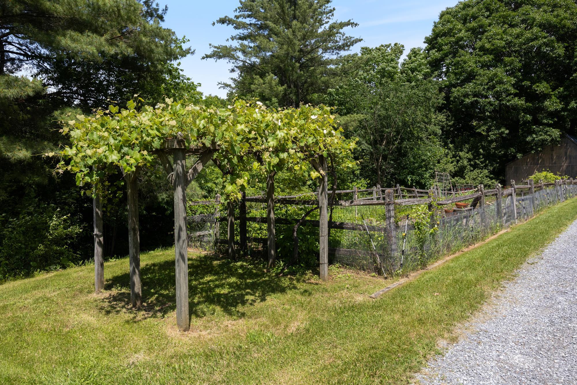 777 Mount Philo Road photo 56