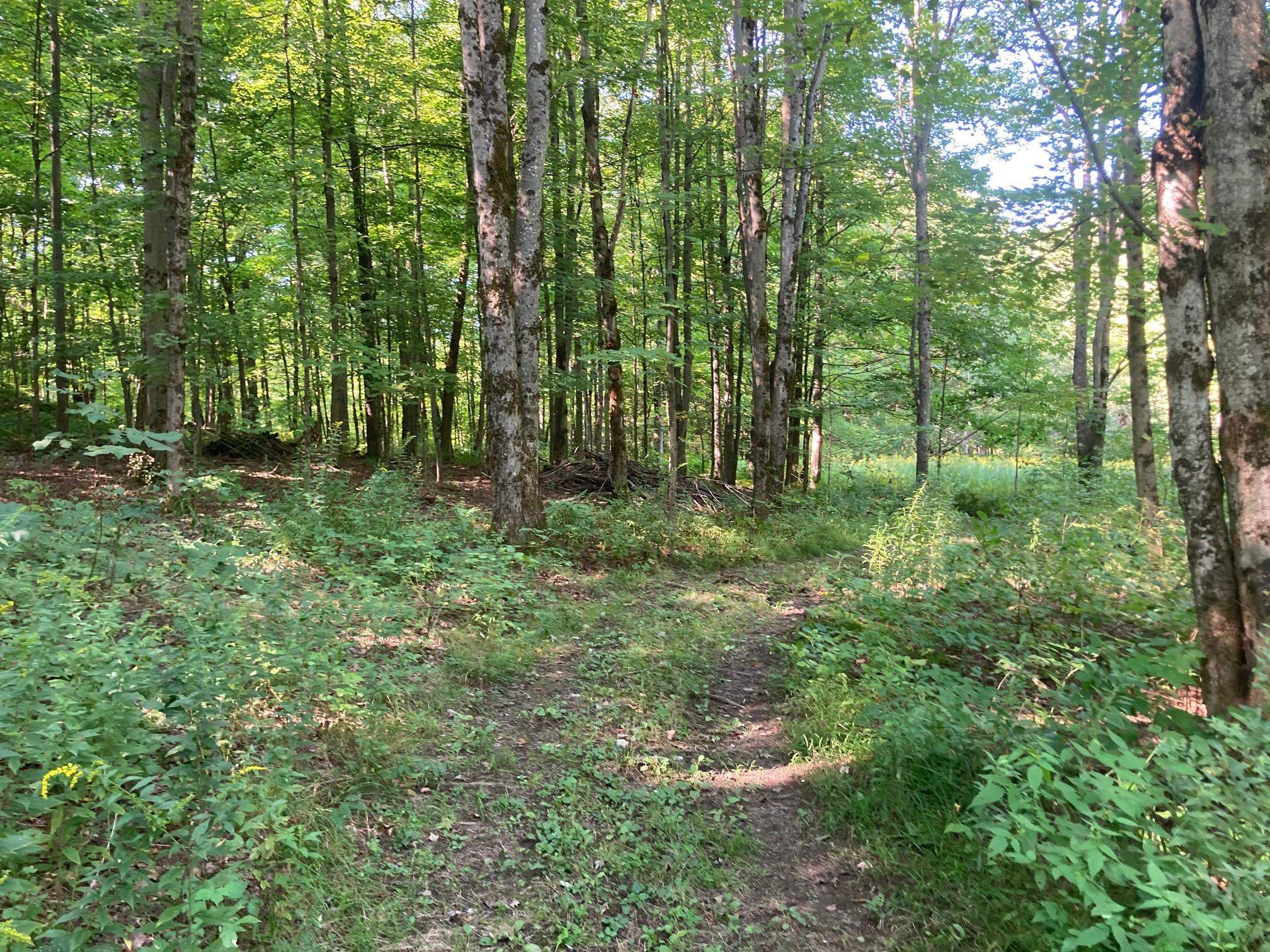near 113 Radharc Drive Georgia, VT 05478 Property 3
